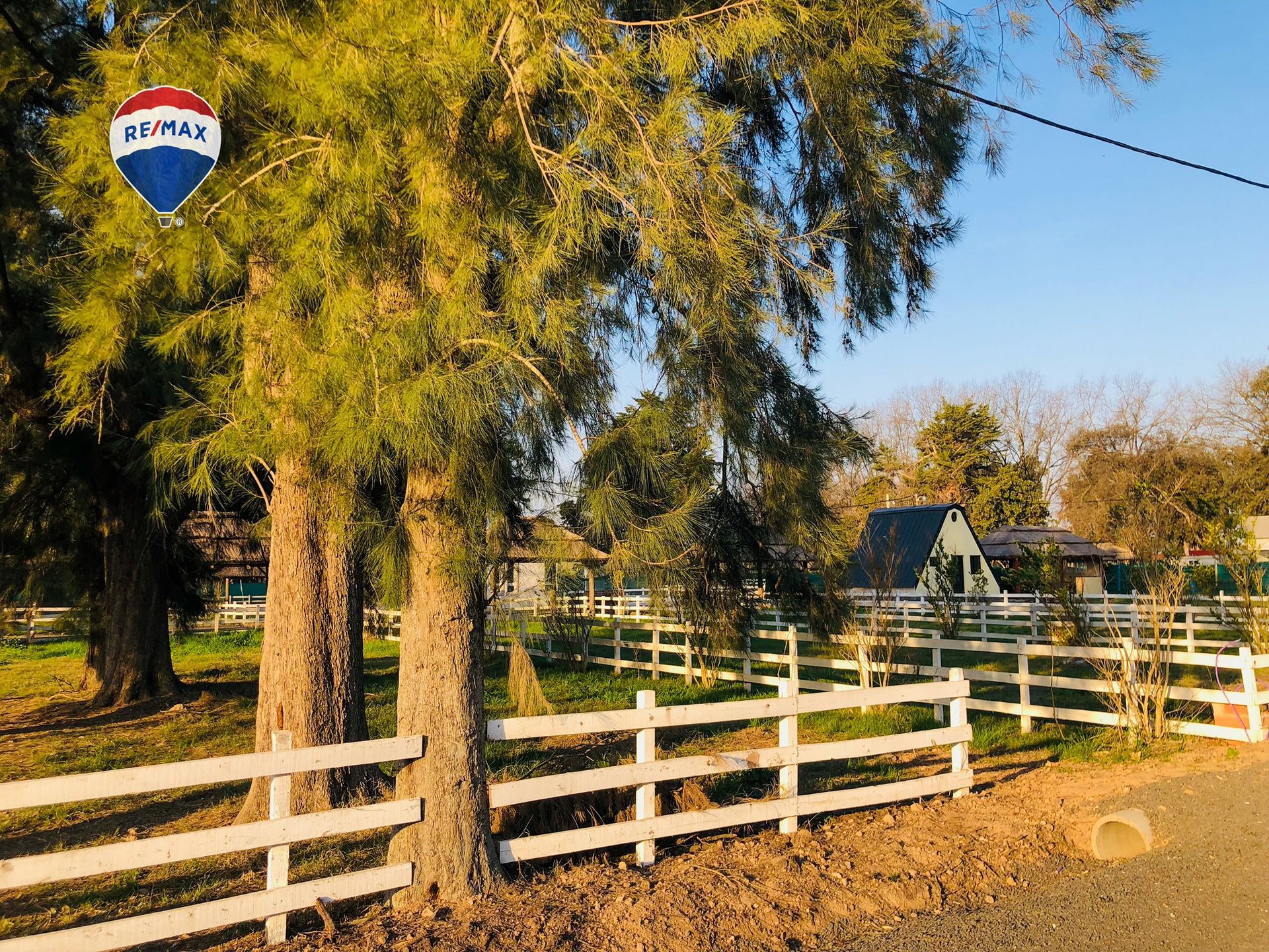LOTE CON ARBOLEDA AÑOSA B° CERRADO GRAL. RODRÍGUEZ - 4