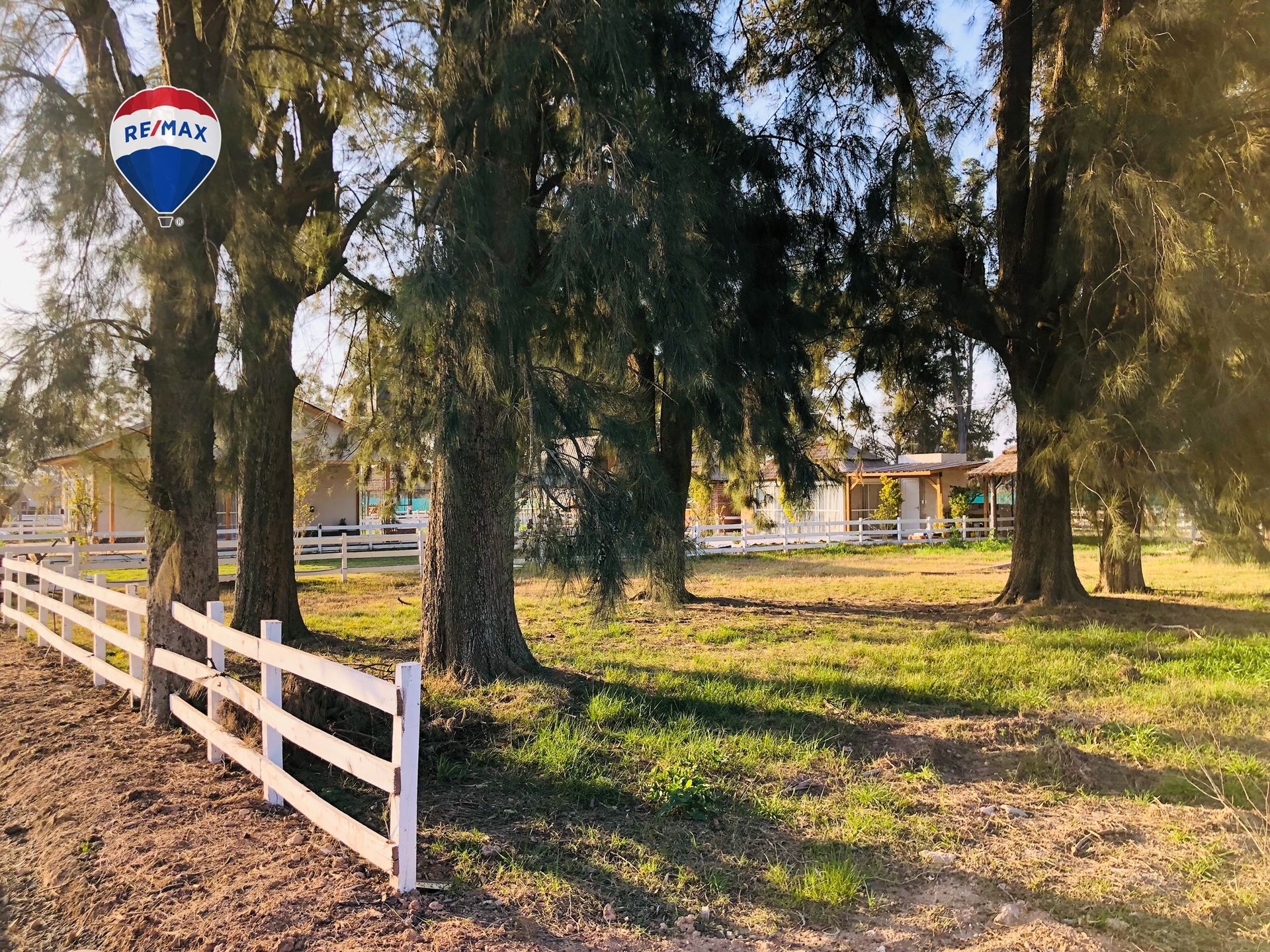 LOTE CON ARBOLEDA AÑOSA B° CERRADO GRAL. RODRÍGUEZ - 5