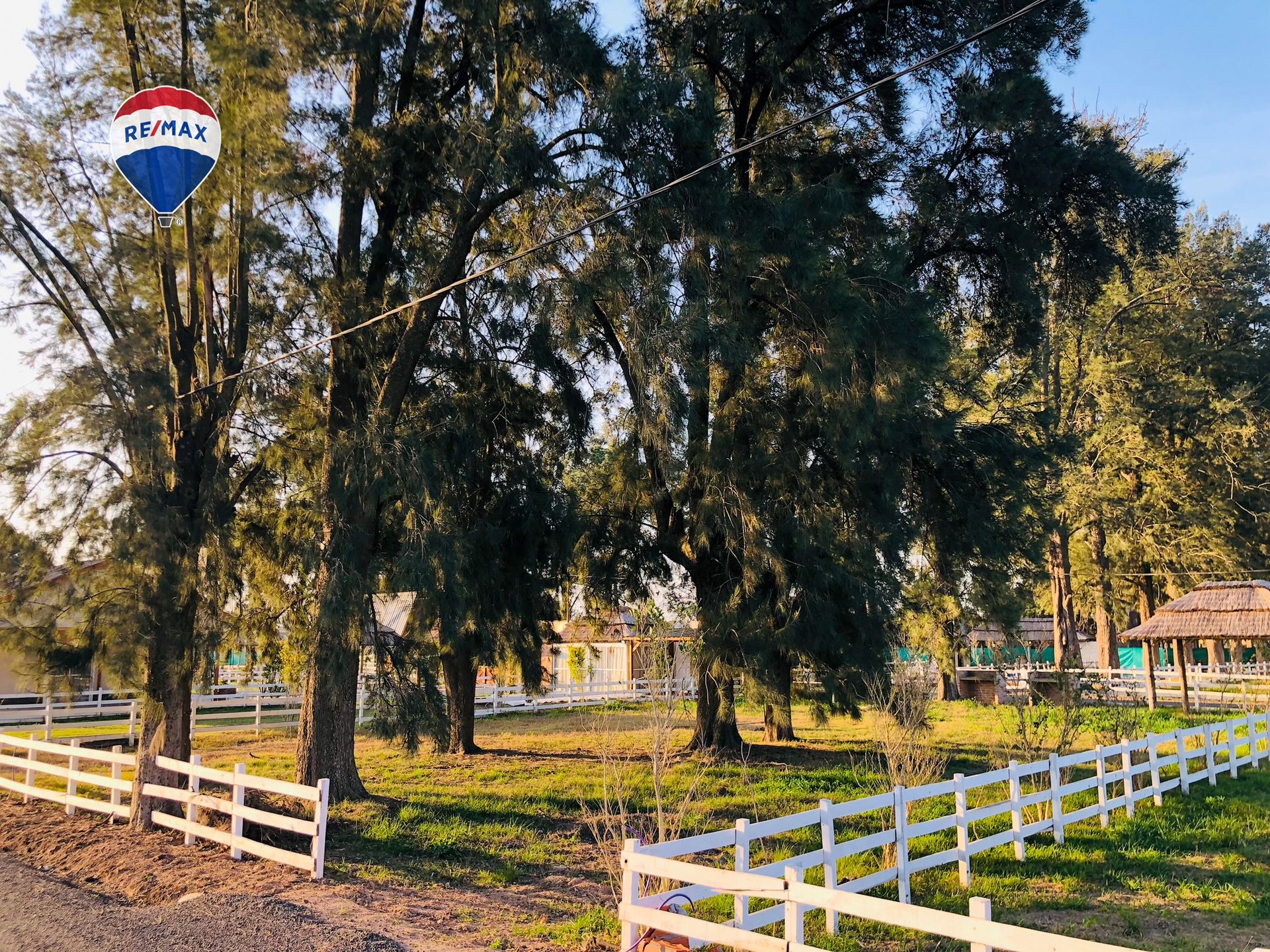 LOTE CON ARBOLEDA AÑOSA B° CERRADO GRAL. RODRÍGUEZ - 13