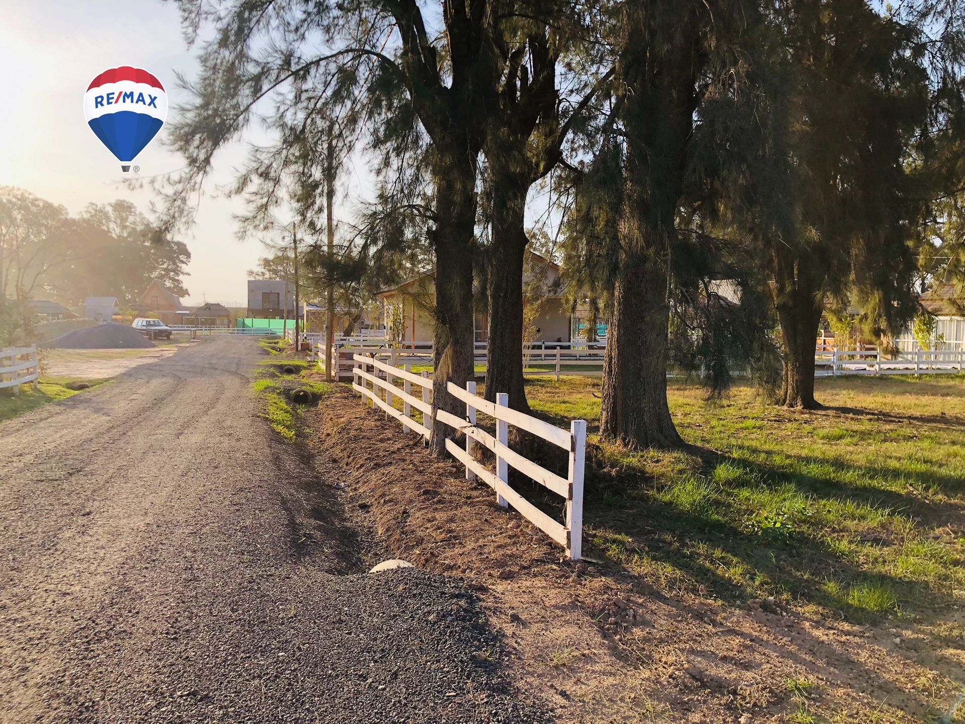 LOTE CON ARBOLEDA AÑOSA B° CERRADO GRAL. RODRÍGUEZ - 14