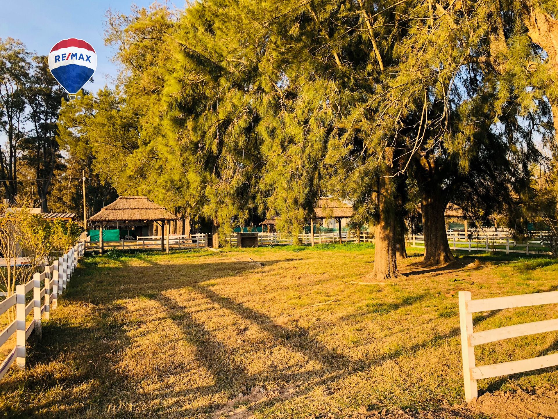 LOTE CON ARBOLEDA AÑOSA B° CERRADO GRAL. RODRÍGUEZ - 11