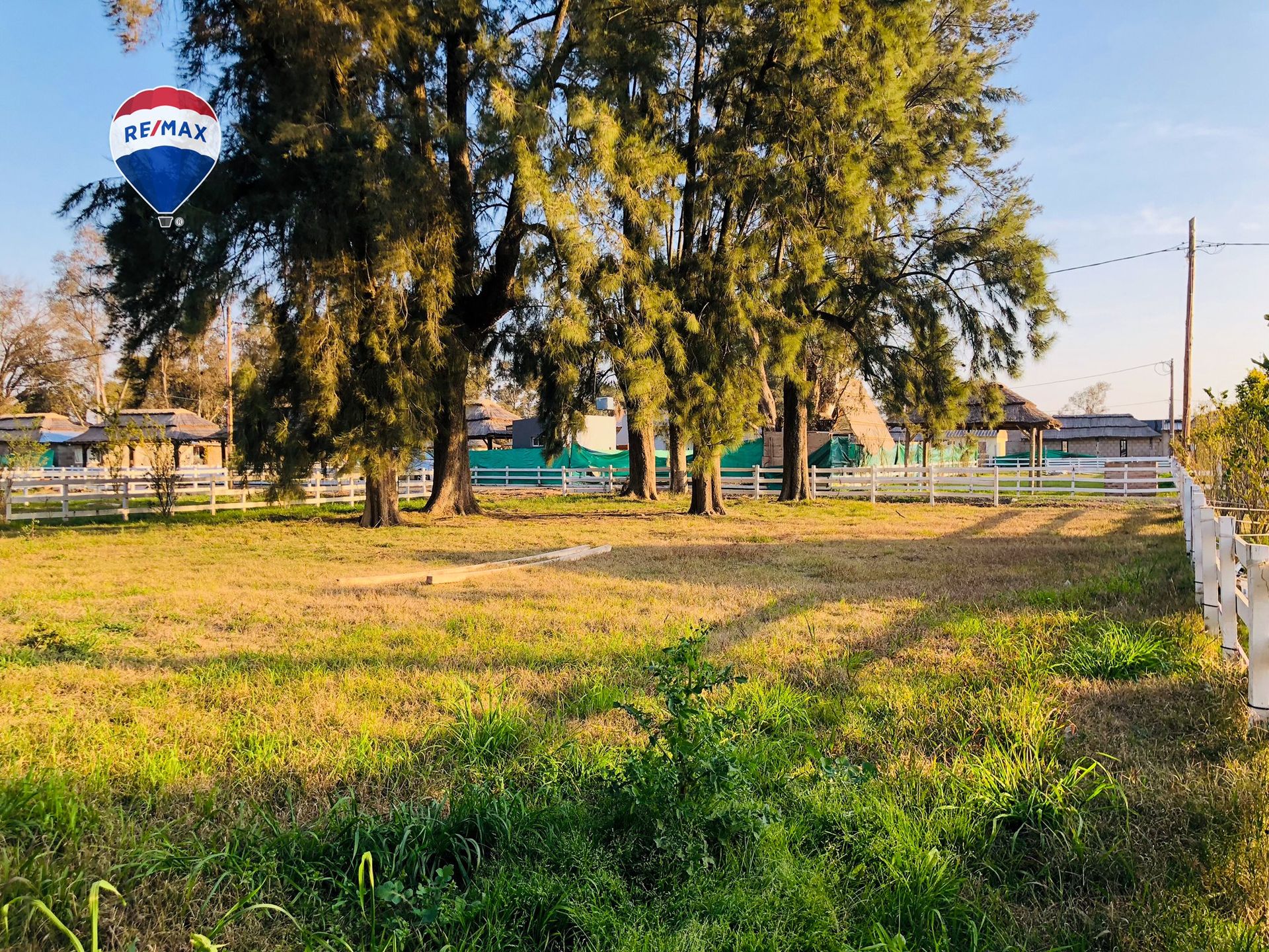 LOTE CON ARBOLEDA AÑOSA B° CERRADO GRAL. RODRÍGUEZ - 2