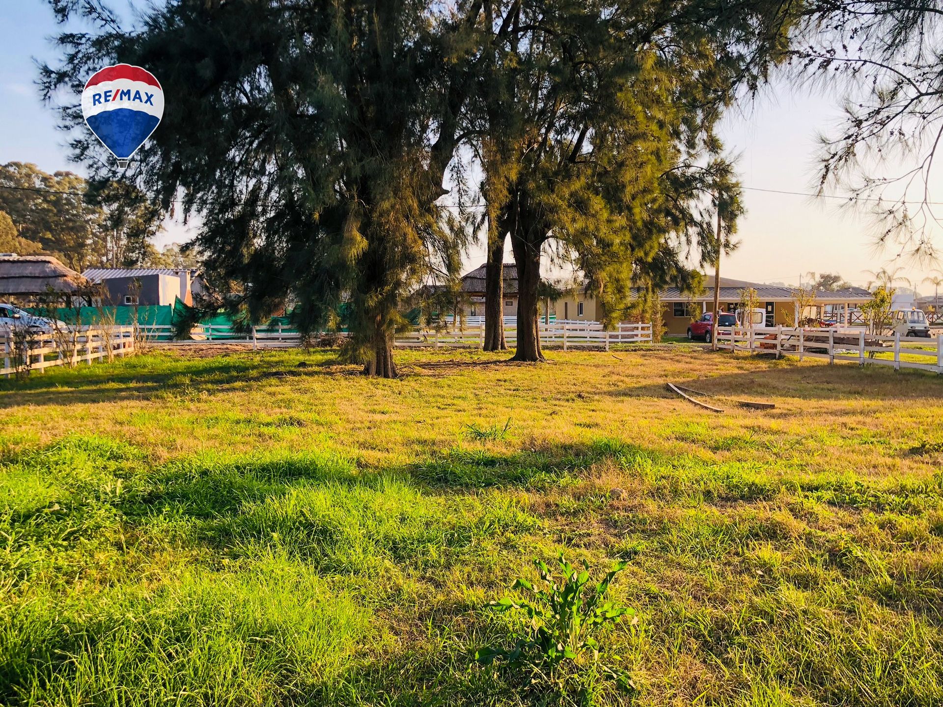 LOTE CON ARBOLEDA AÑOSA B° CERRADO GRAL. RODRÍGUEZ - 3