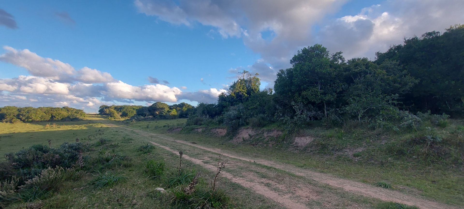 Terreno en Venta  Caracol, Rocha. Rocha