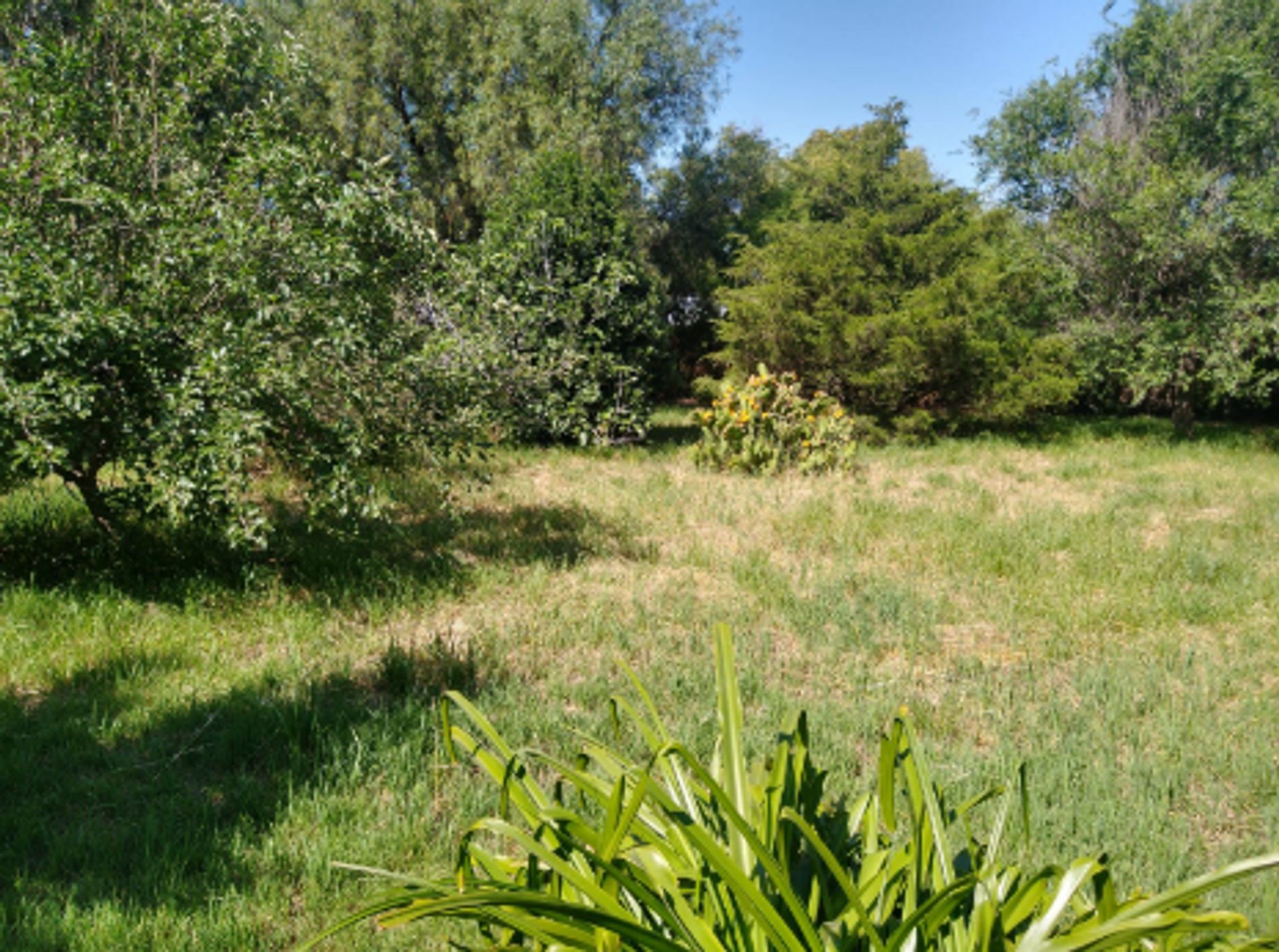 Lote en Venta en Tornquist, Buenos Aires Interior
