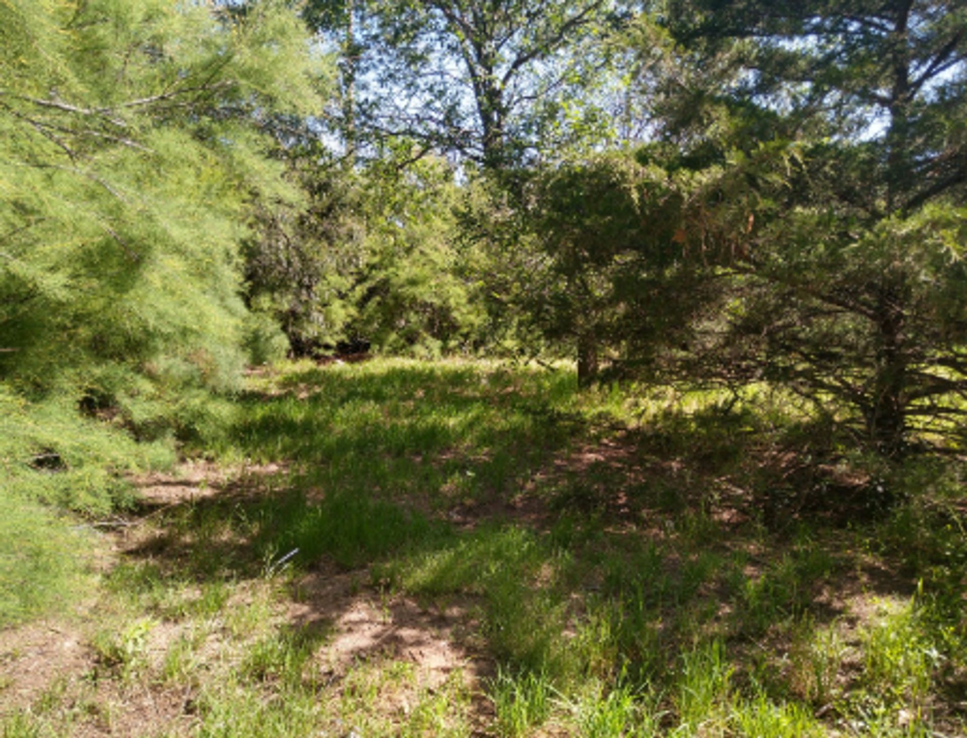 Lote en Venta en Tornquist, Buenos Aires Interior