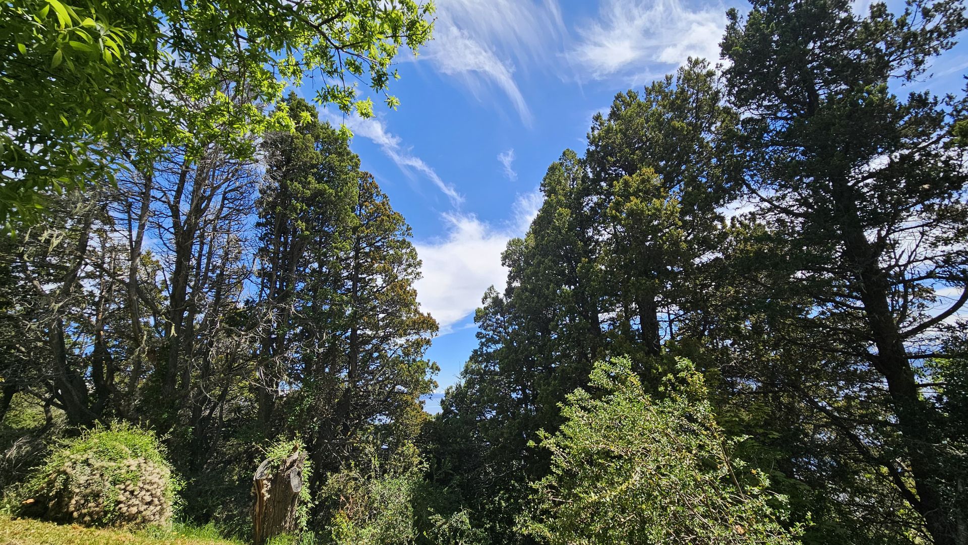 Casa con vista al lago - B&deg; Belgrano - Bariloche — foto 8