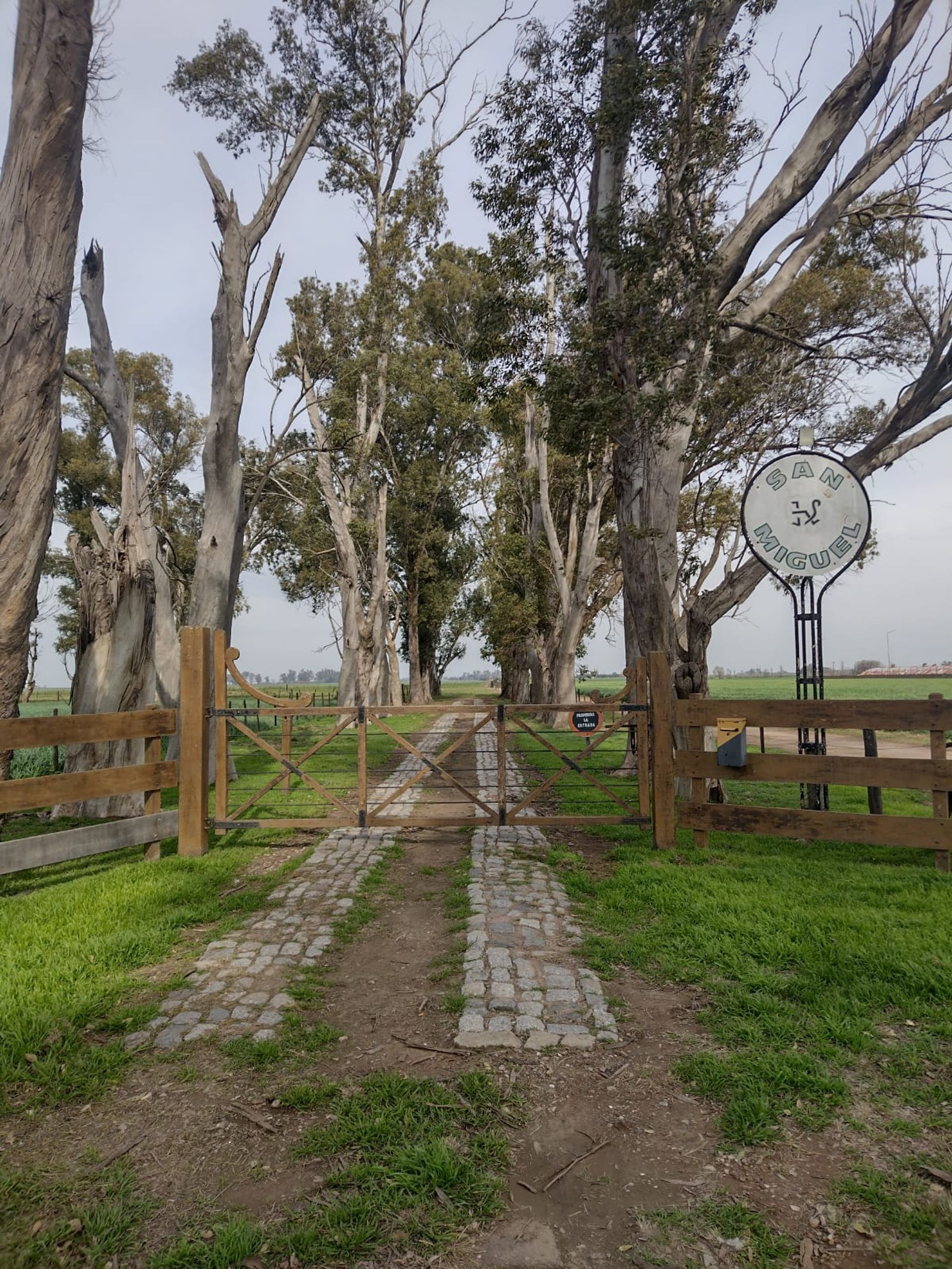 SE VENDE CAMPO PARTE INDIVISA EN PERGAMINO - 2