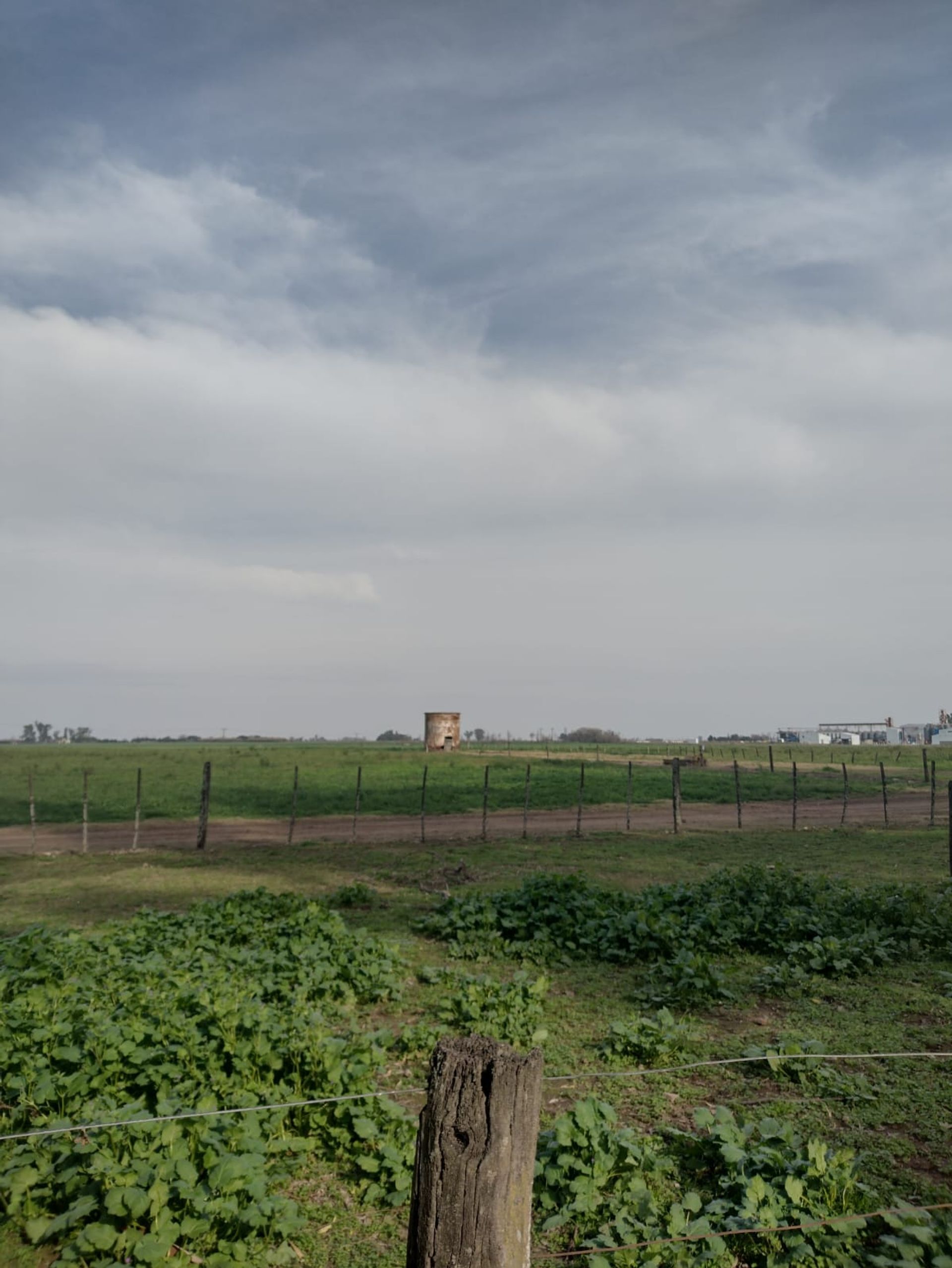 SE VENDE CAMPO PARTE INDIVISA EN PERGAMINO - 6