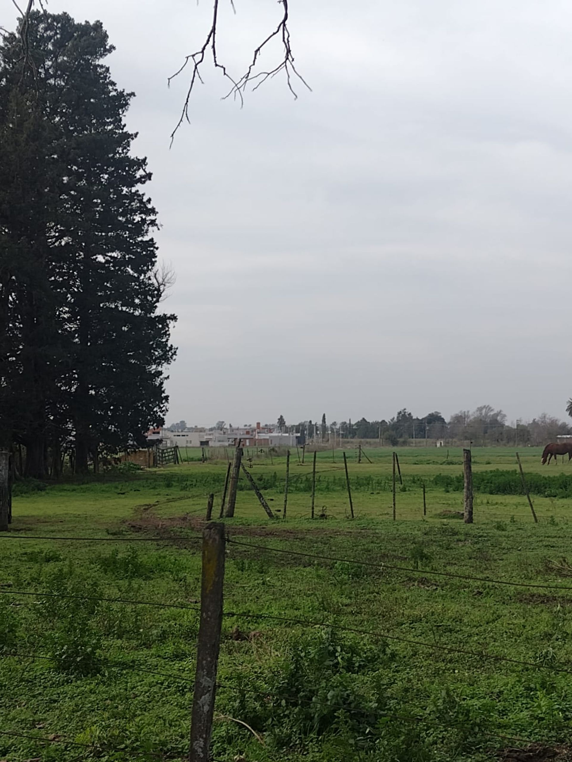 SE VENDE CAMPO PARTE INDIVISA EN PERGAMINO - 5