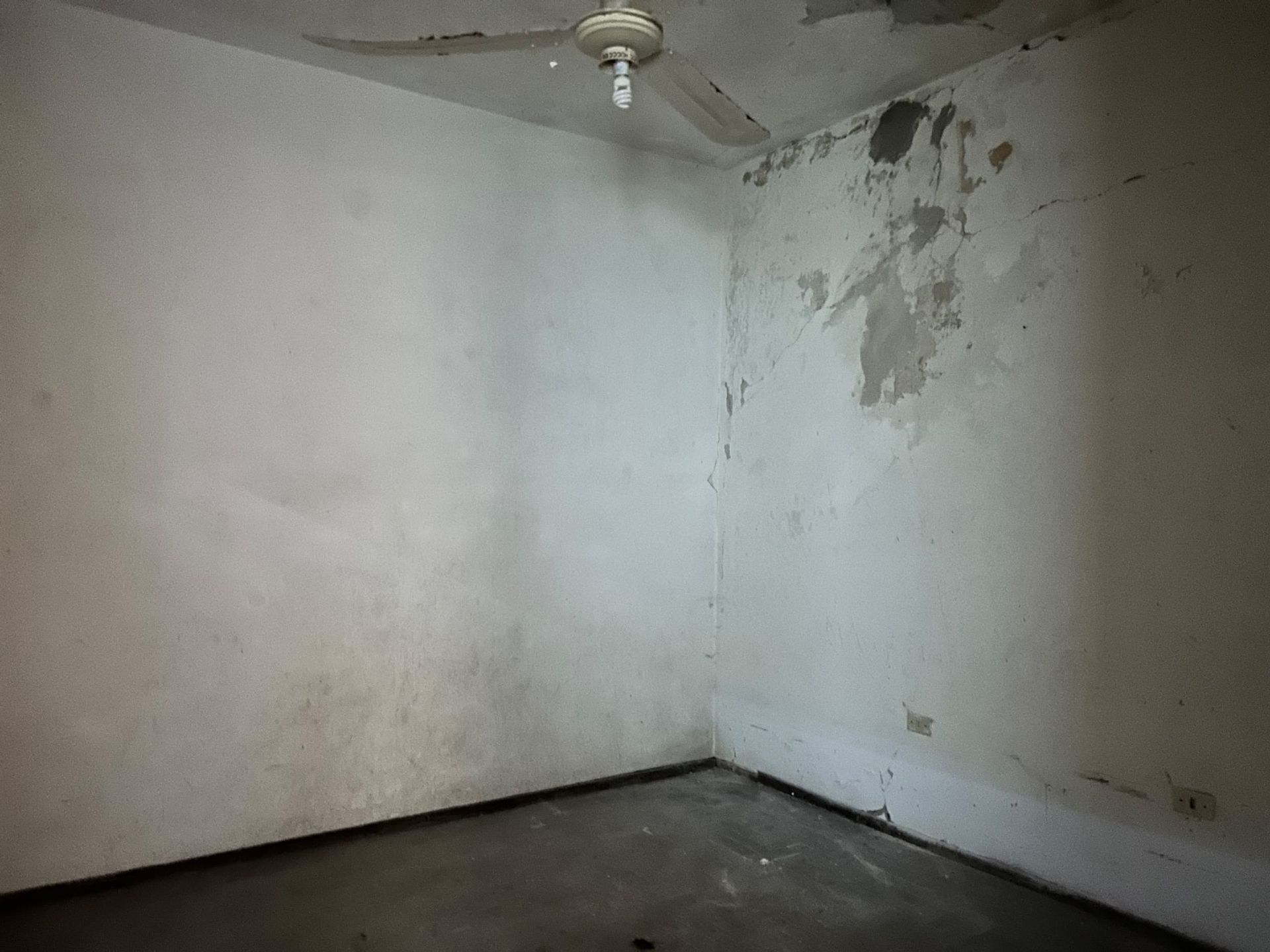 Casa de pasillo a reciclar - 9