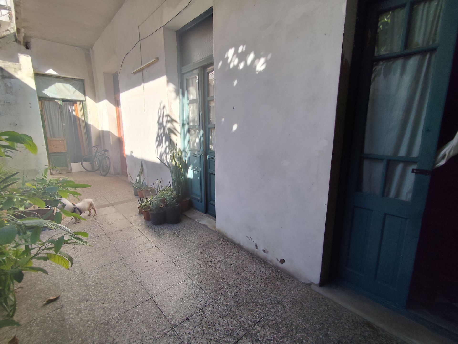 CASA LOTE VENTA 8 AMB GALPON DEPOSITO LOCAL - USAA - 15