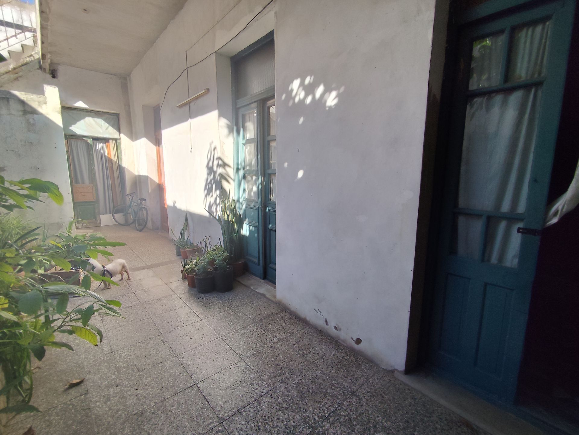 CASA LOTE VENTA 8 AMB GALPON DEPOSITO LOCAL - USAA - 16