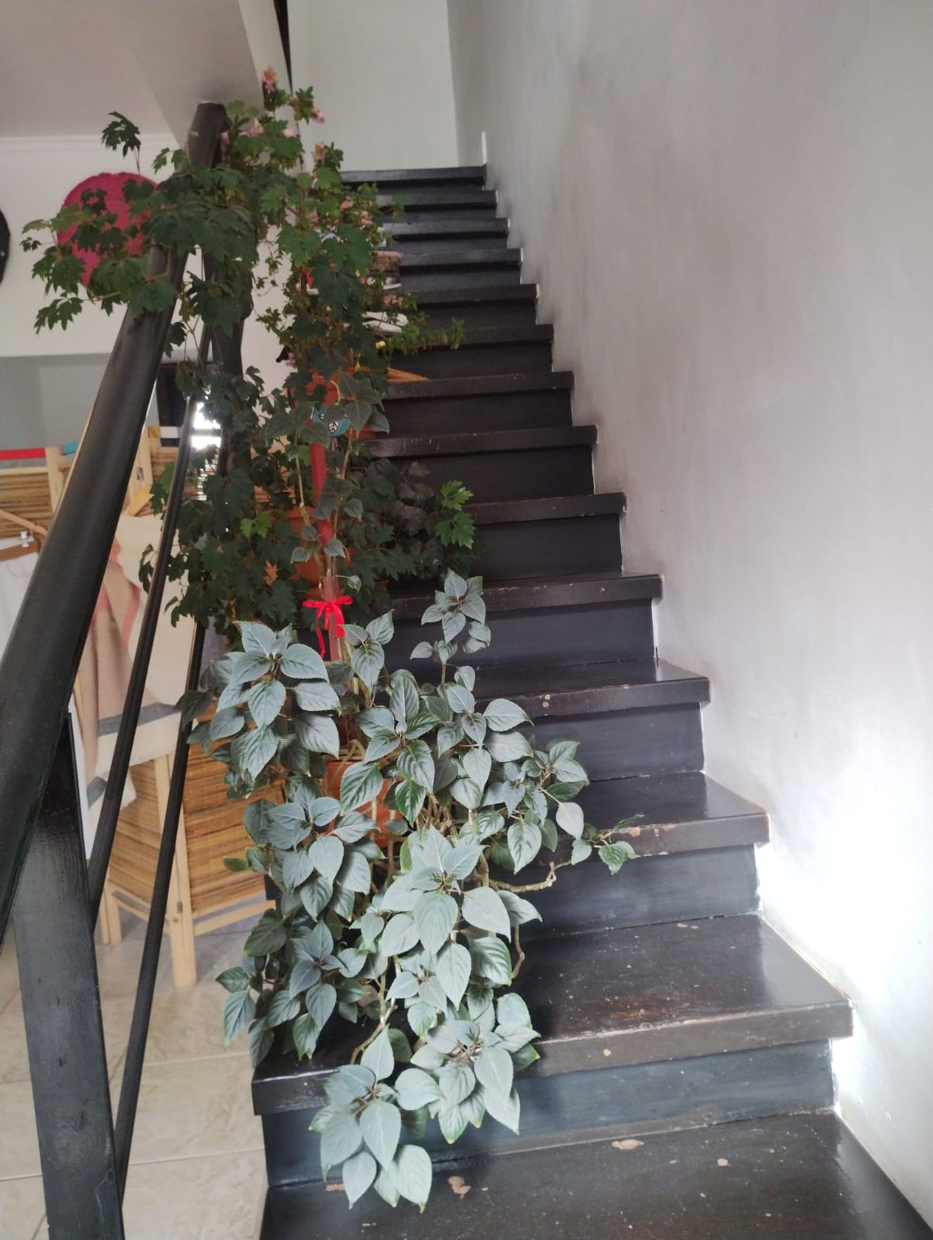 VENTA Local comercial en Belgrano 100 - 11