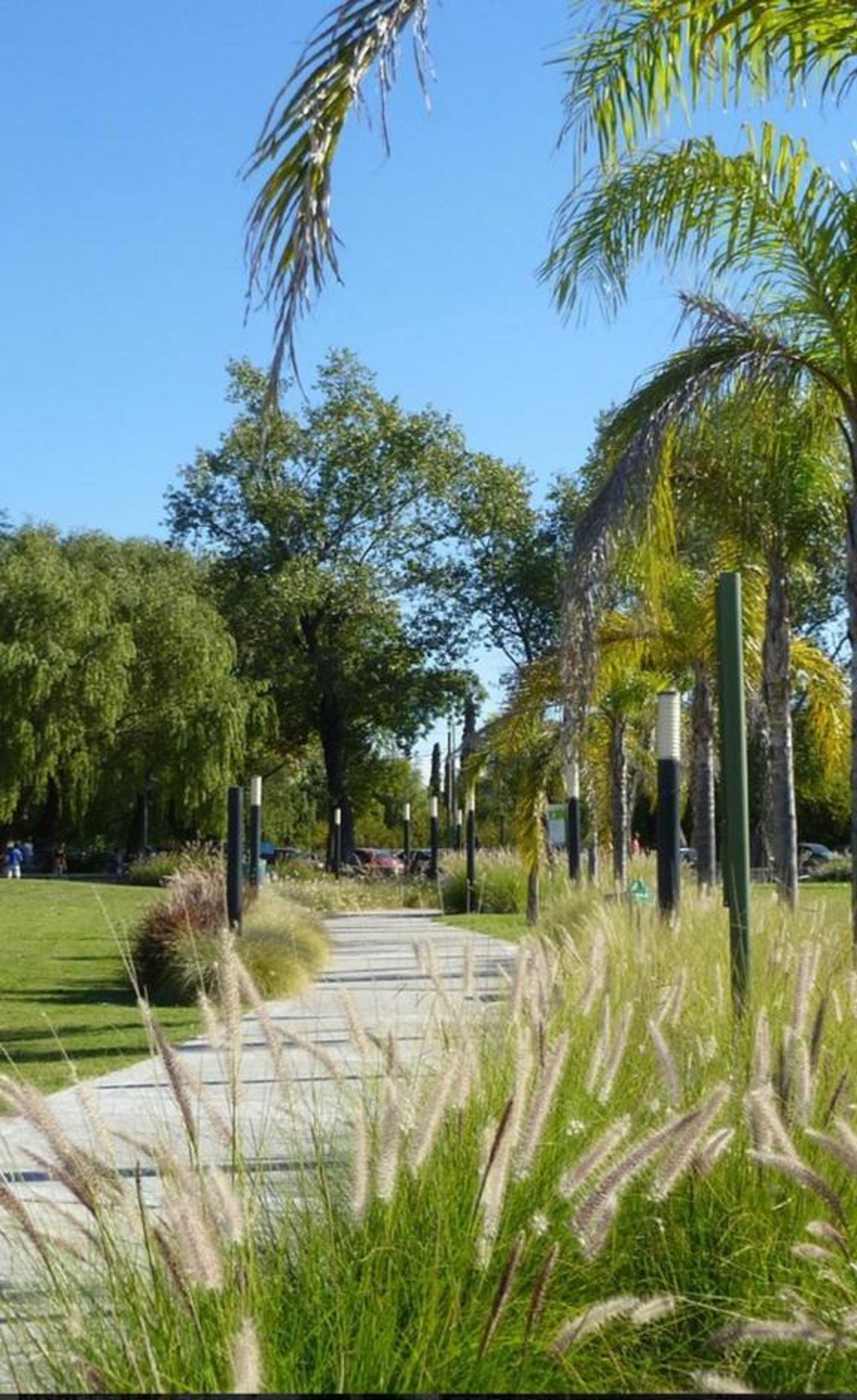 VENTA LOTE EMPRENDIMIENTO FRENTE AL RIO EN ZARATE - 5