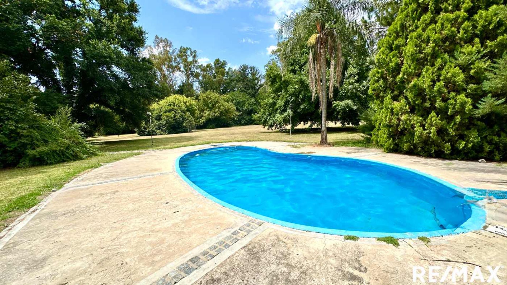 VENTA LOTE DE 4 HECTAREAS EN C. SPEGAZZINI - 17
