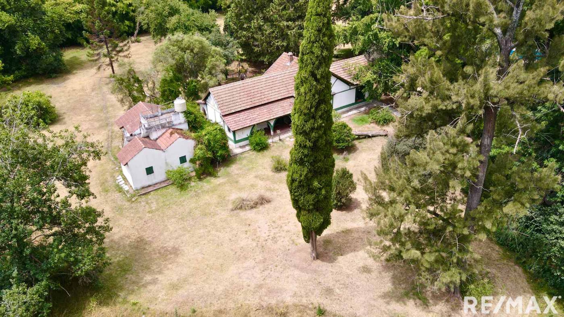 VENTA LOTE DE 4 HECTAREAS EN C. SPEGAZZINI - 1