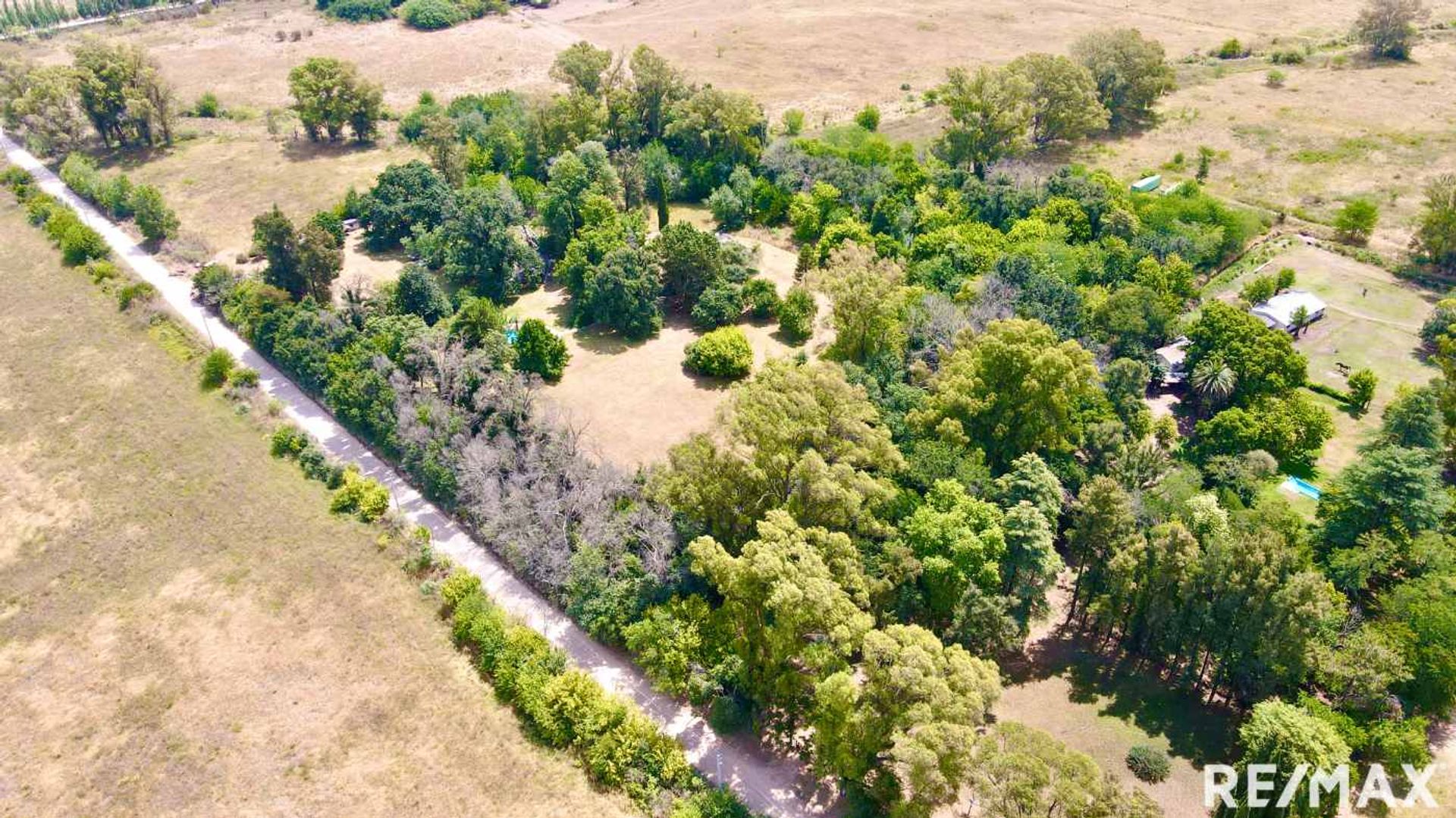 VENTA LOTE DE 4 HECTAREAS EN C. SPEGAZZINI - 4