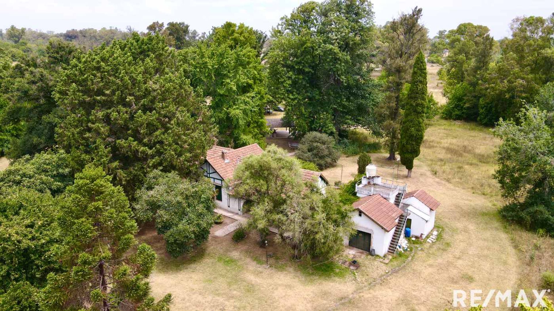 VENTA LOTE DE 4 HECTAREAS EN C. SPEGAZZINI - 8