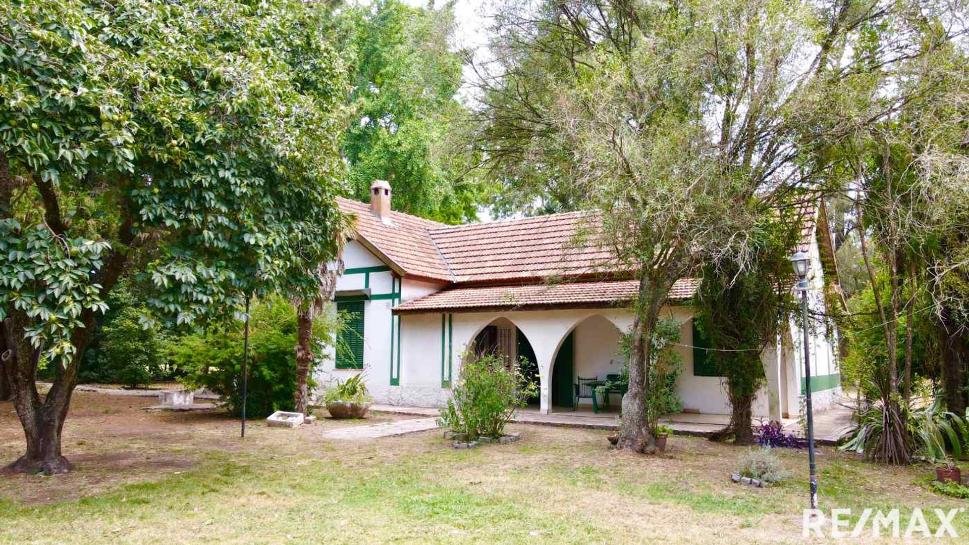 VENTA LOTE DE 4 HECTAREAS EN C. SPEGAZZINI - 10