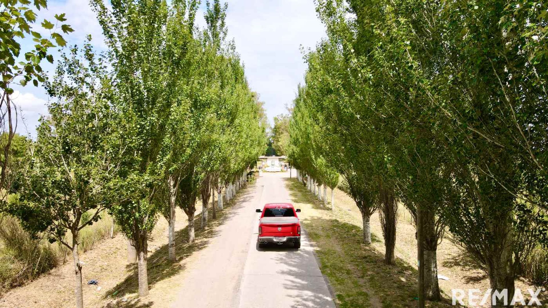 VENTA LOTE DE 4 HECTAREAS EN C. SPEGAZZINI - 3