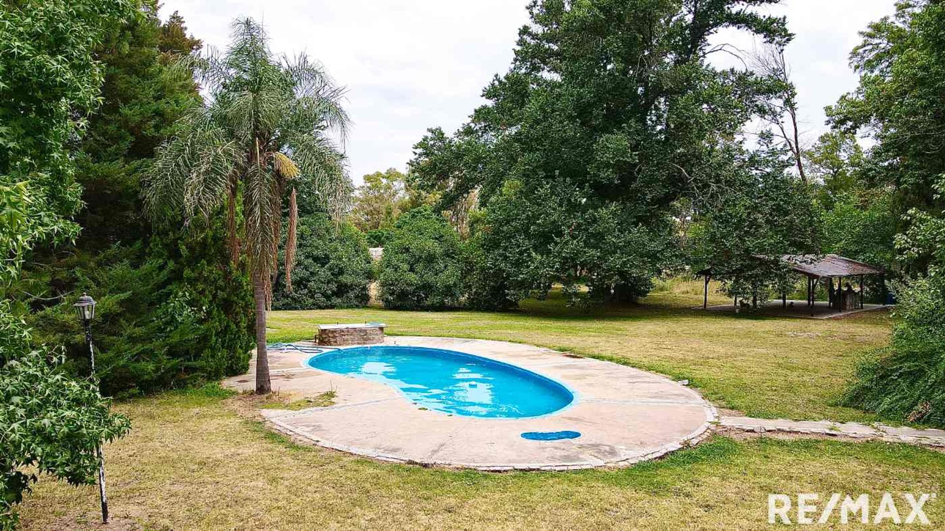 VENTA LOTE DE 4 HECTAREAS EN C. SPEGAZZINI - 16