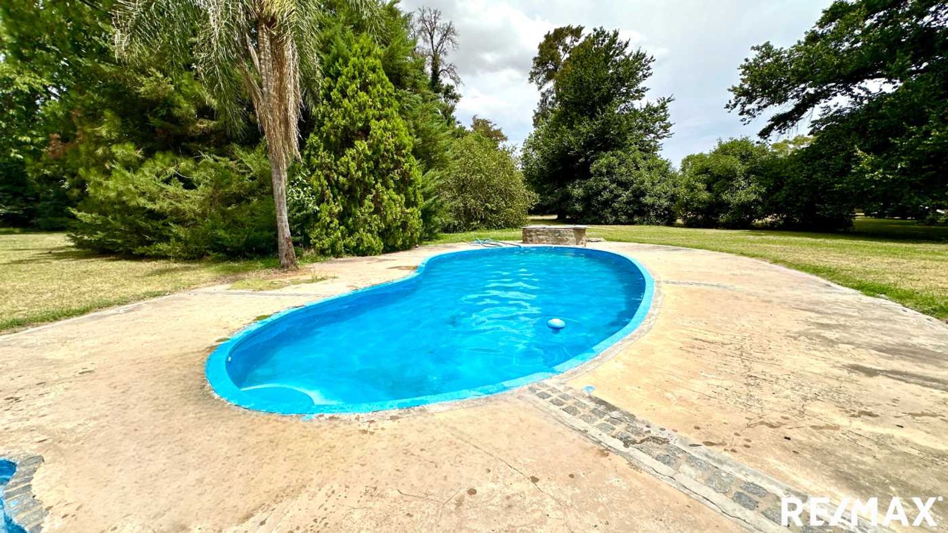VENTA LOTE DE 4 HECTAREAS EN C. SPEGAZZINI - 18
