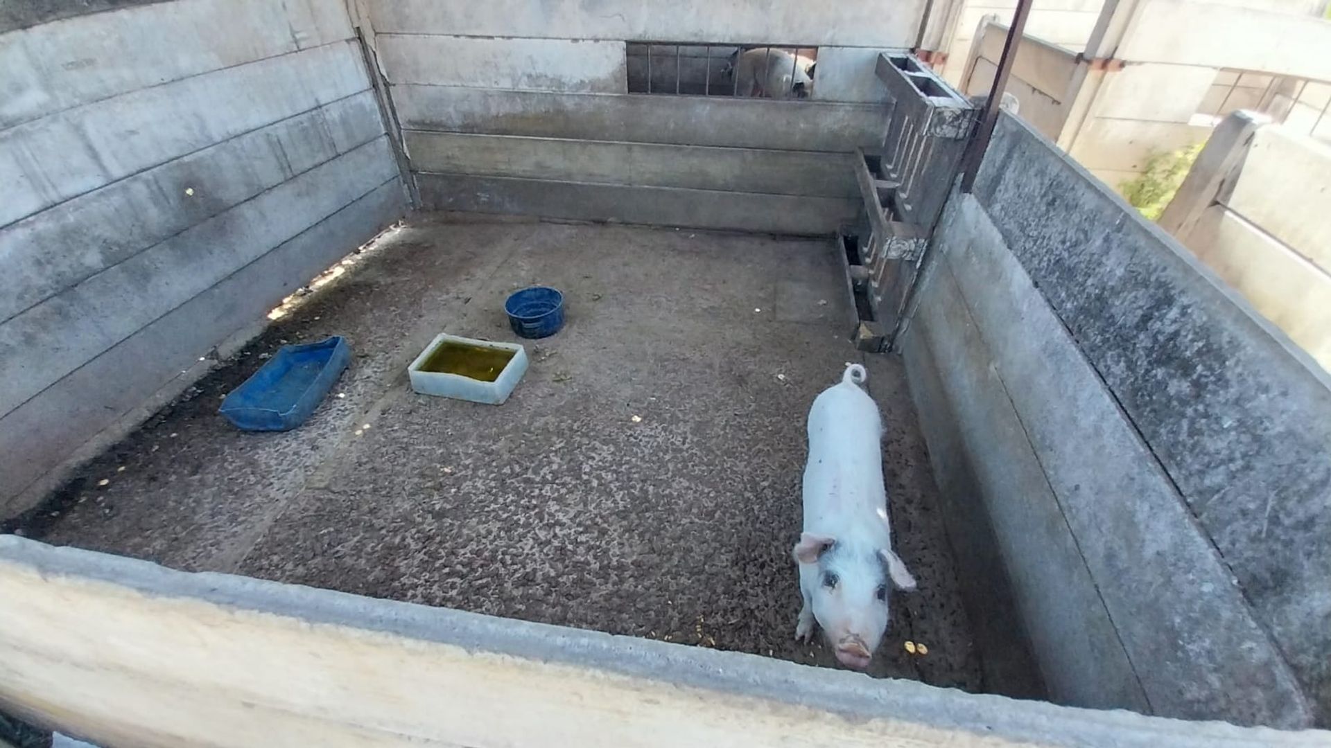 Campo en Venta en General Rodriguez, G.B.A. Zona Oeste