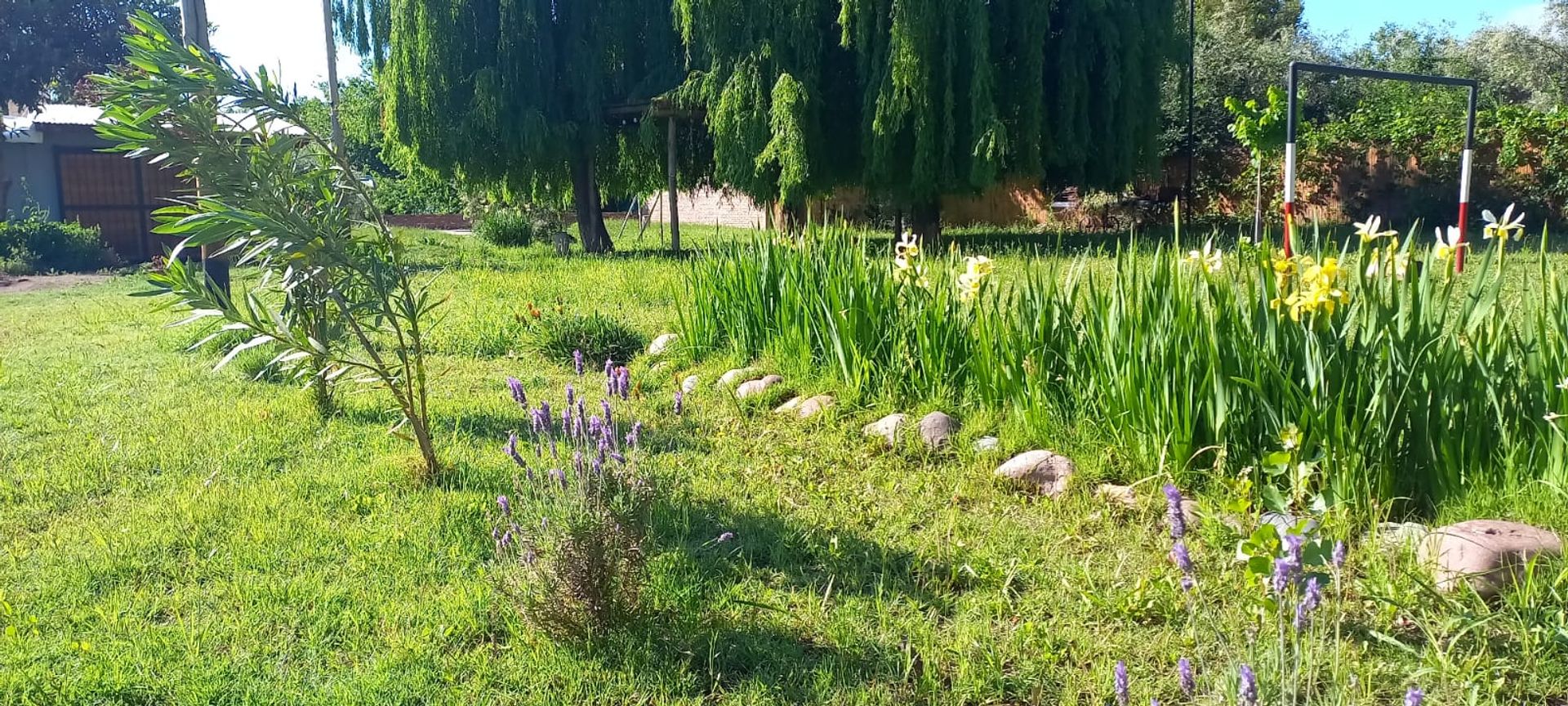 Quinta en Venta en Maipu, Mendoza