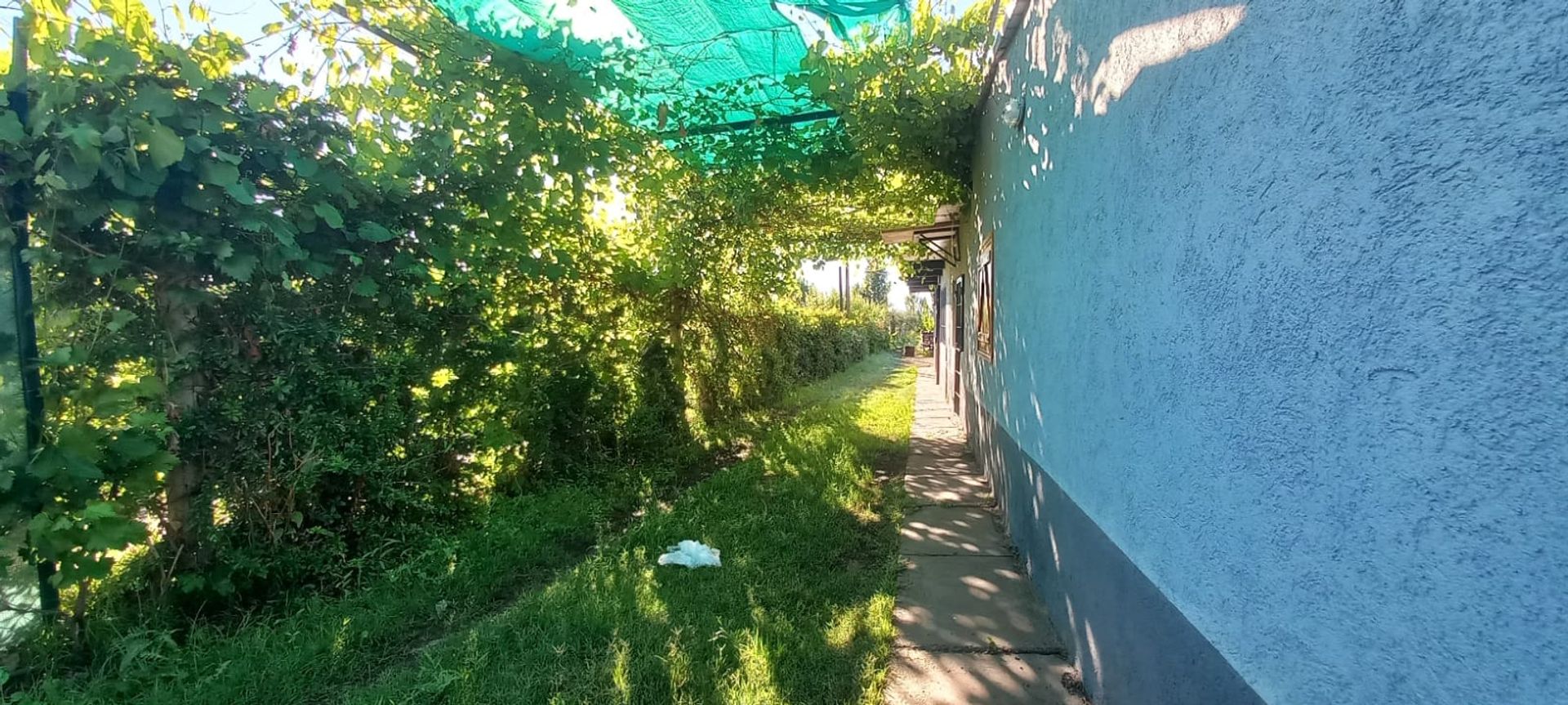 Quinta en Venta en Maipu, Mendoza
