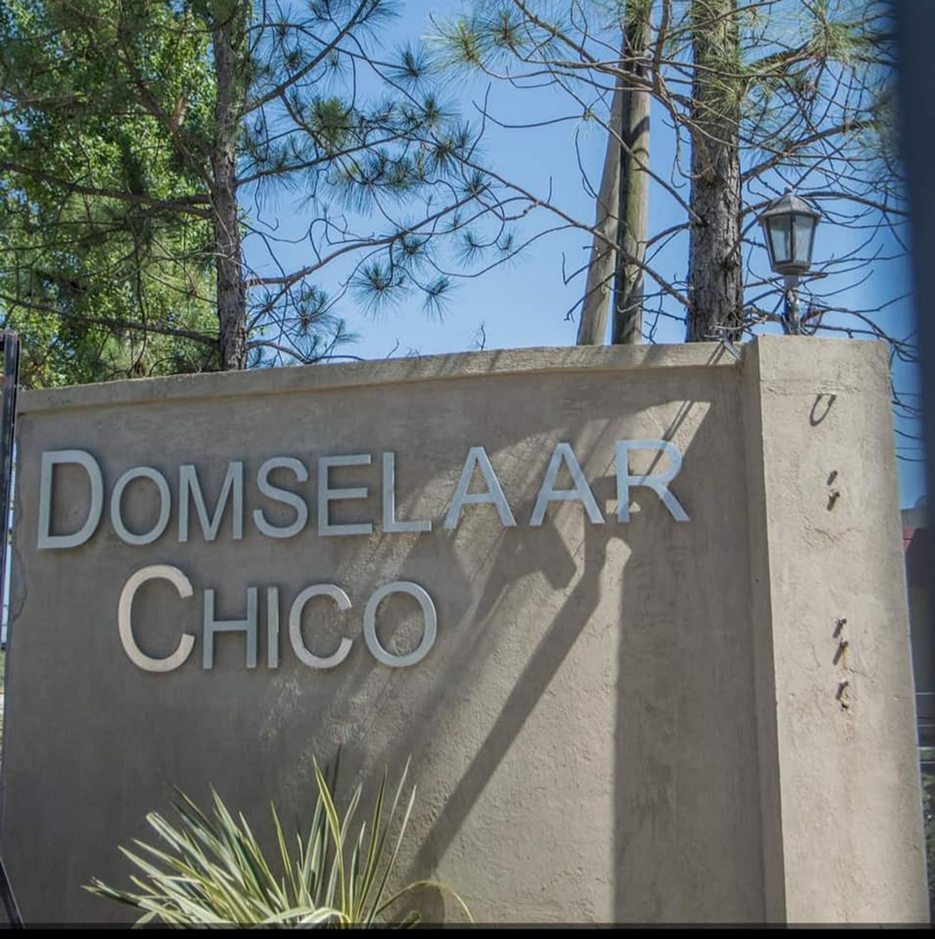 Lote en Esquina imperdible Domselaar Chico, VENTA - 4