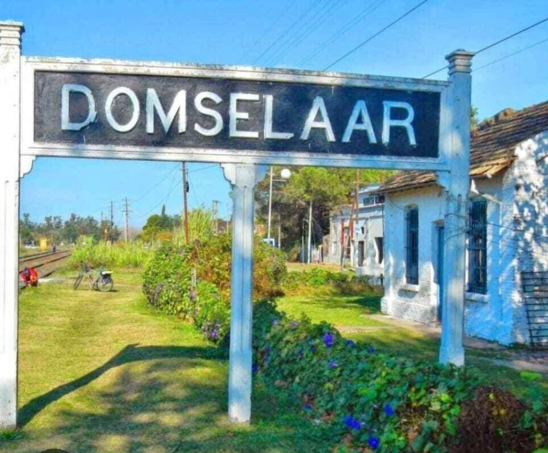 Lote en Esquina imperdible Domselaar Chico, VENTA - 2