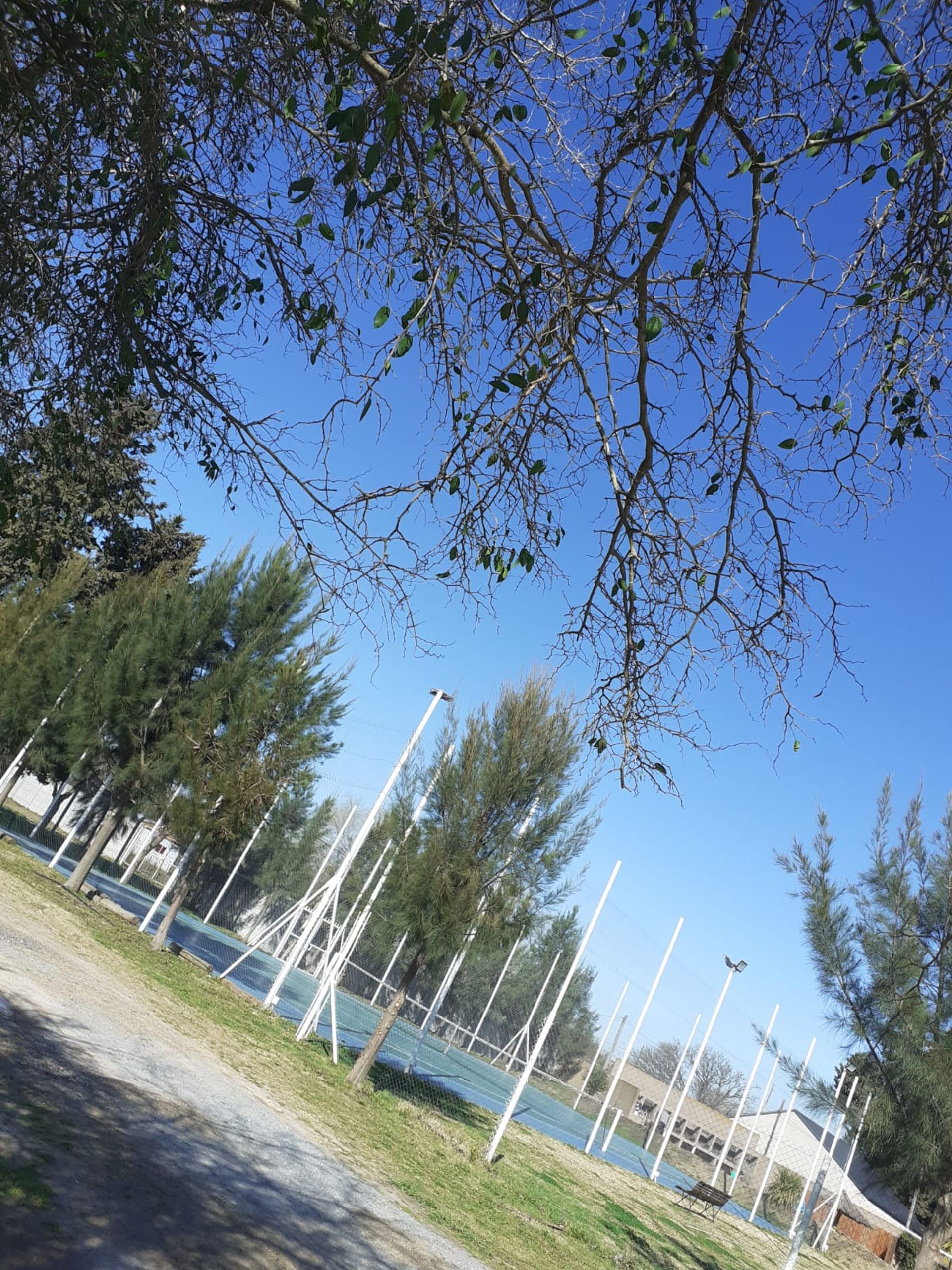 Lote en Esquina imperdible Domselaar Chico, VENTA - 12