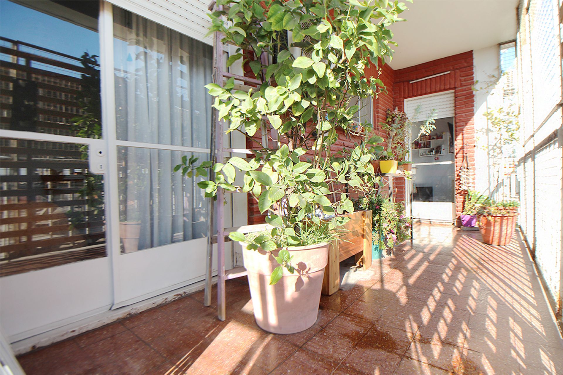 VENTA DEPTO 3 AMB. C/COCH. V. CELINA APTO CREDITO - 5