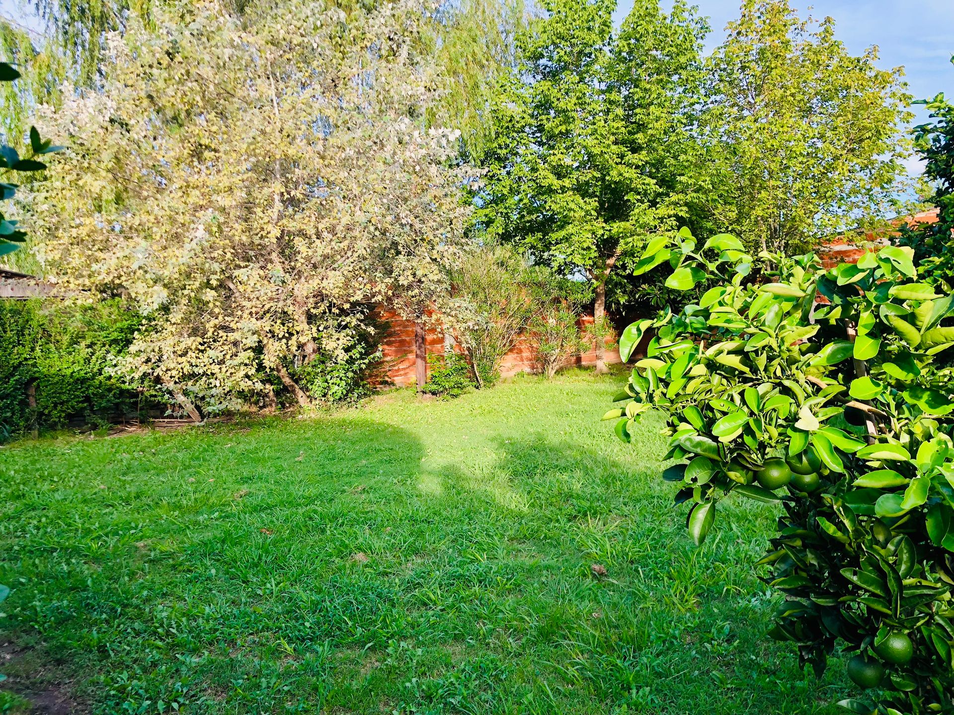 VENTA LOTE C/ ARBOLES Y CERCO VIVO GRAL.ROGRIGUEZ — foto 6