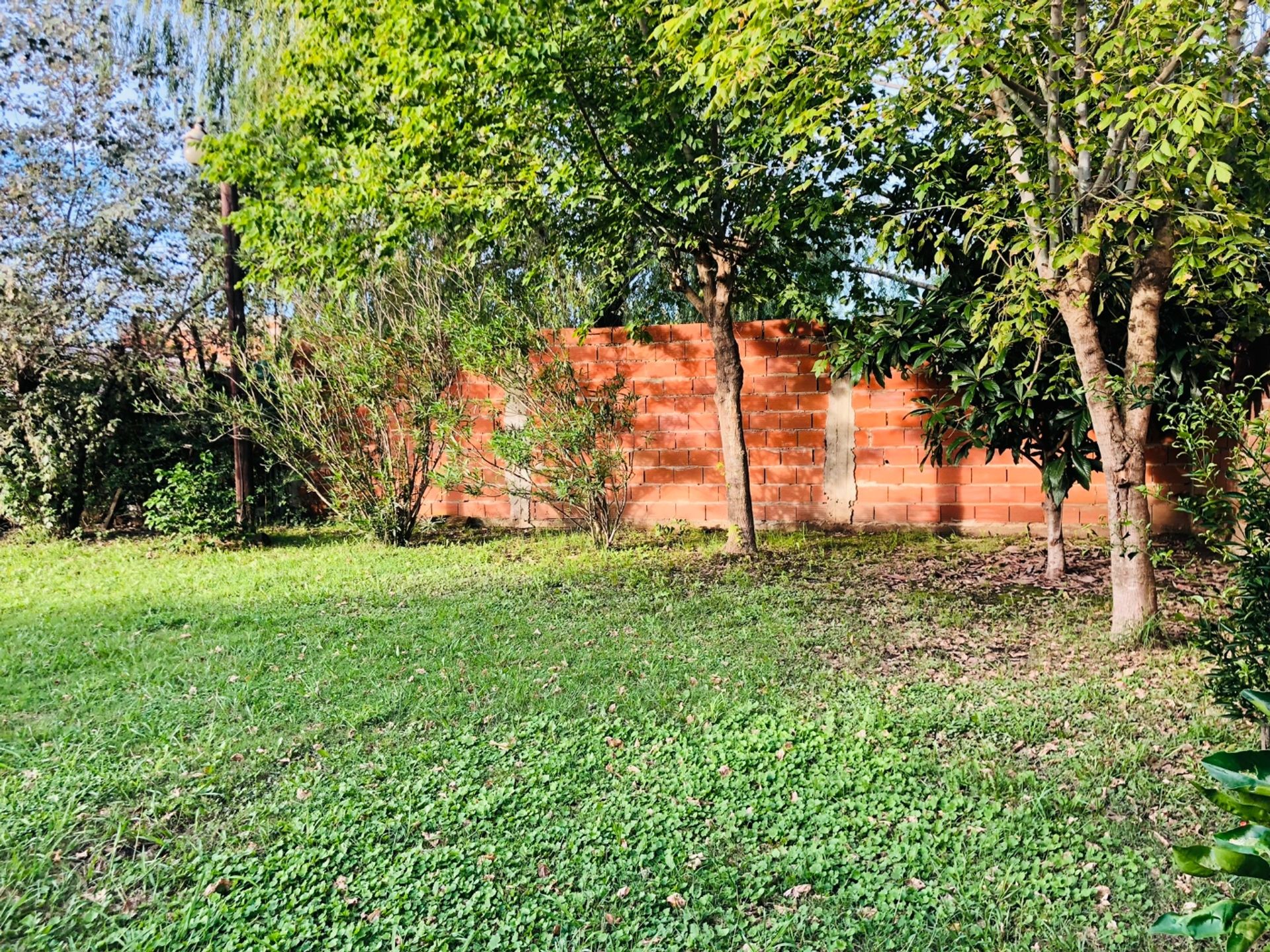 VENTA LOTE C/ ARBOLES Y CERCO VIVO GRAL.ROGRIGUEZ — foto 7