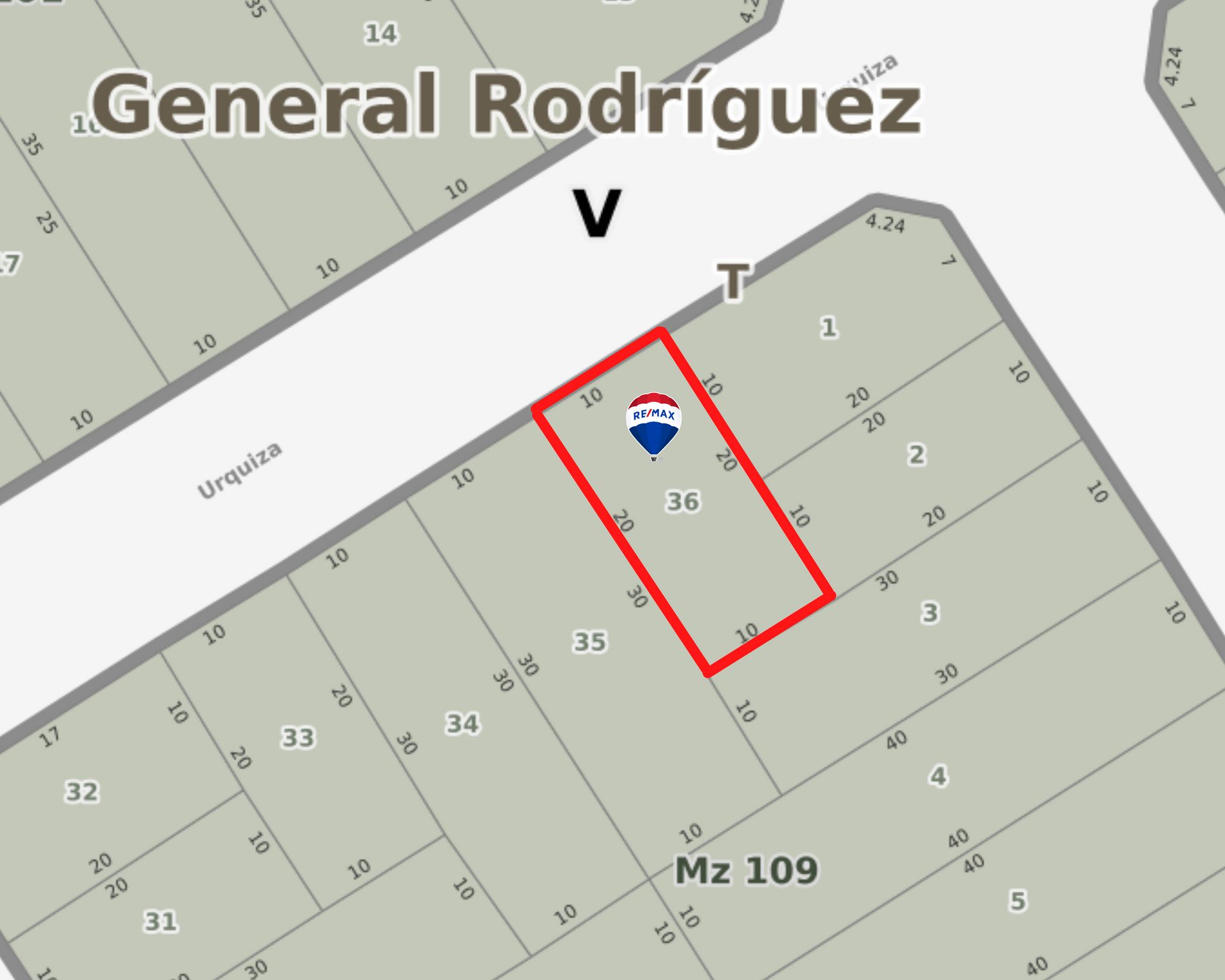 VENTA LOTE C/ ARBOLES Y CERCO VIVO GRAL.ROGRIGUEZ — foto 10