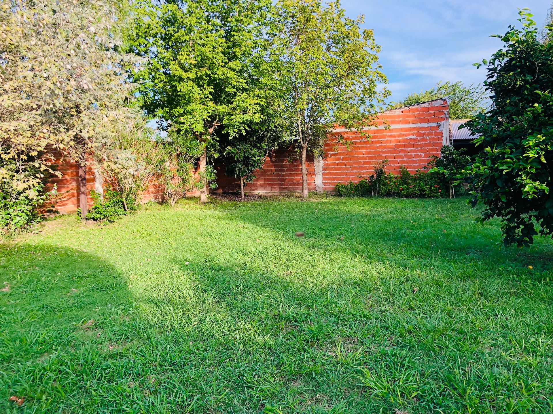 VENTA LOTE C/ ARBOLES Y CERCO VIVO GRAL.ROGRIGUEZ — foto 9