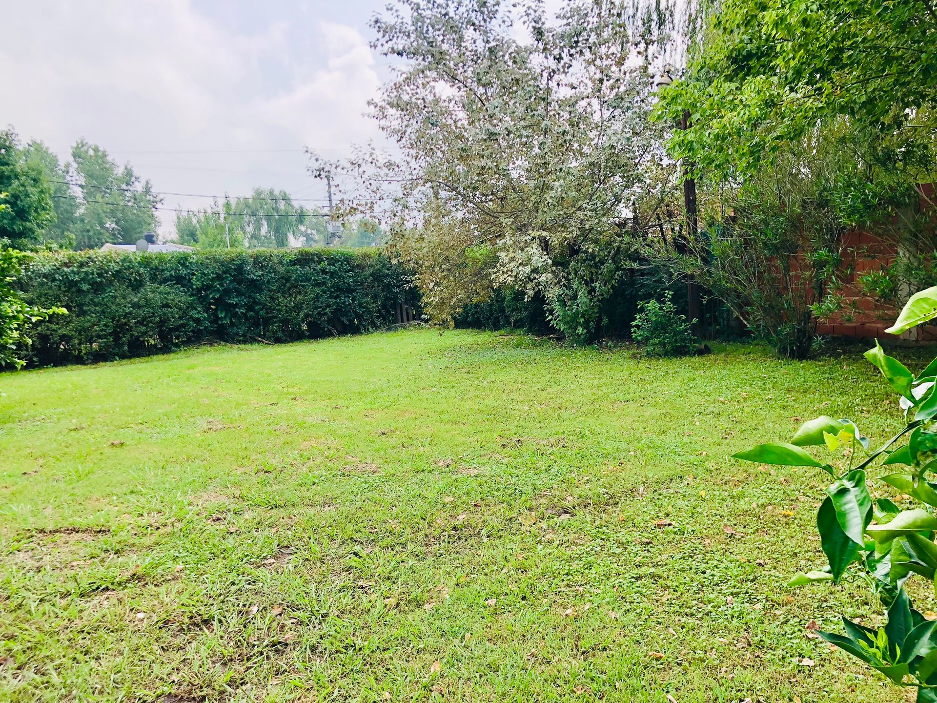 VENTA LOTE C/ ARBOLES Y CERCO VIVO GRAL.ROGRIGUEZ