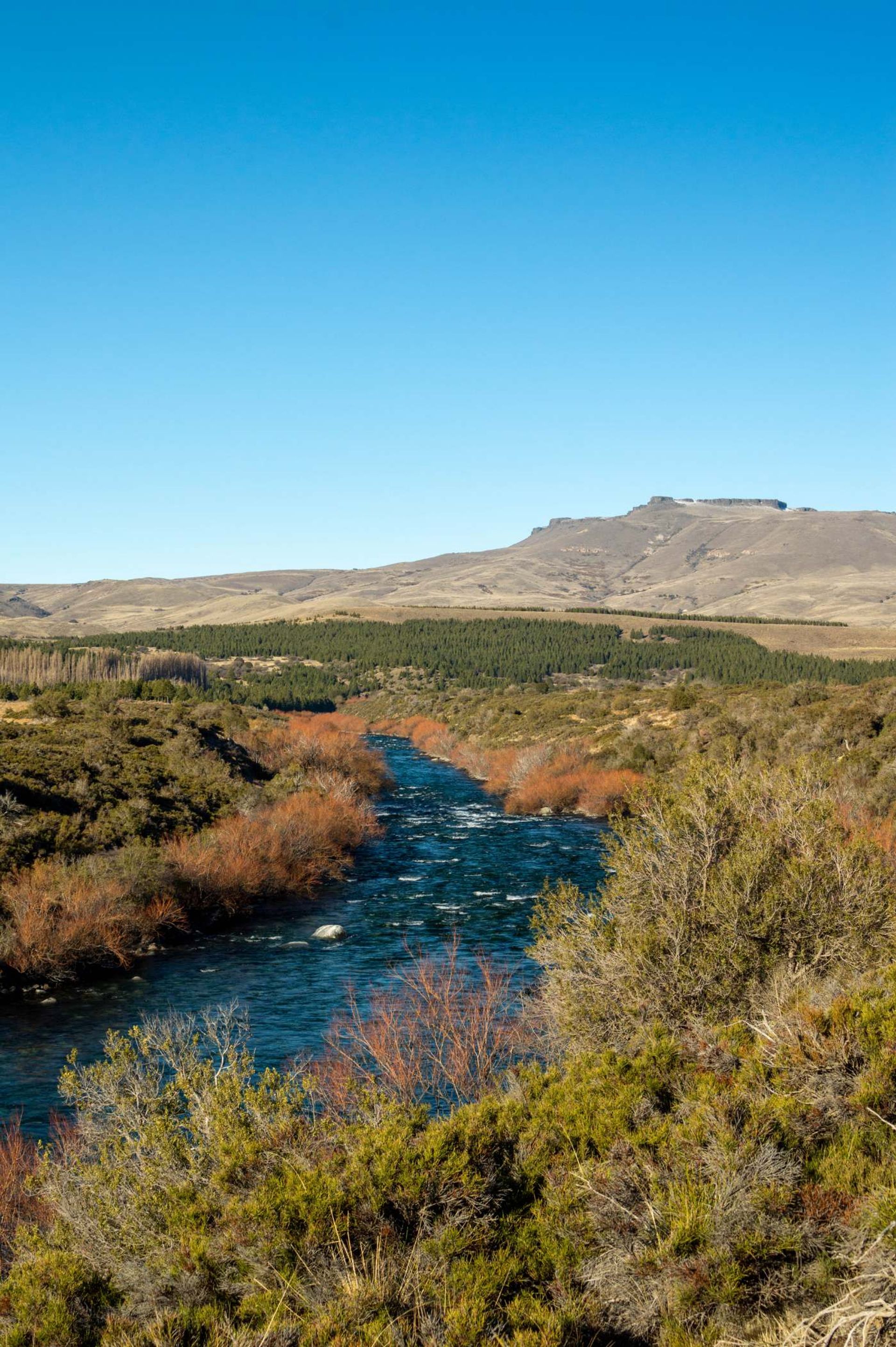 Lote de 2700m2 a 100m del Río Chimehuín - 16