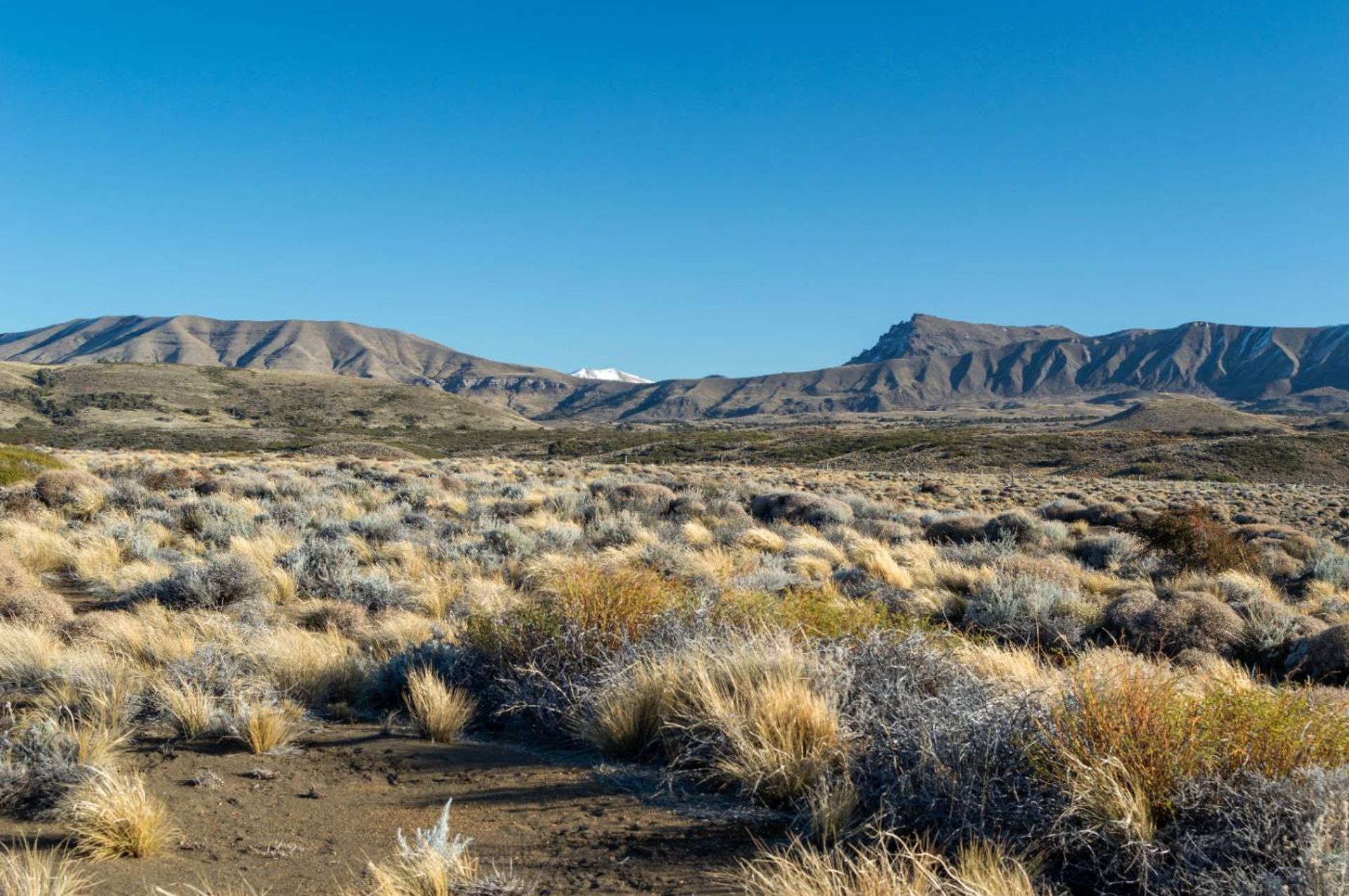 Lote de 2700m2 a 100m del Río Chimehuín - 12