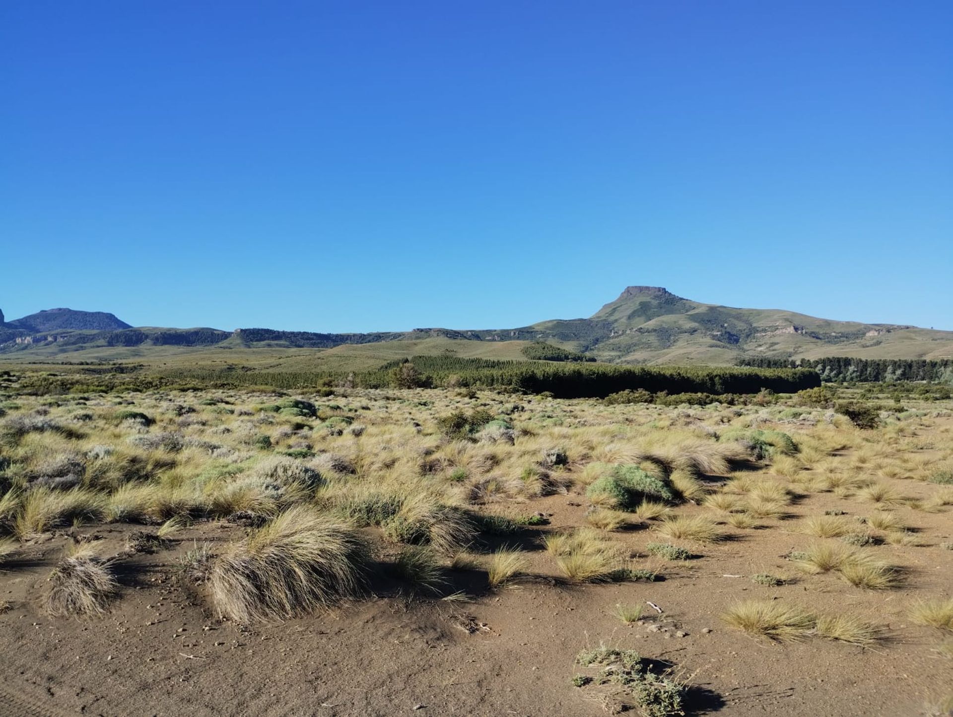 Lote de 2700m2 a 100m del Río Chimehuín - 7