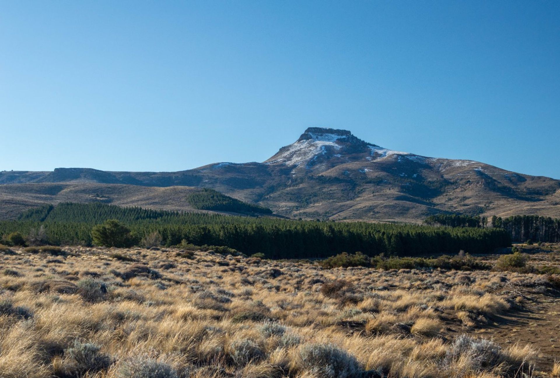 Lote de 2700m2 a 100m del Río Chimehuín - 9