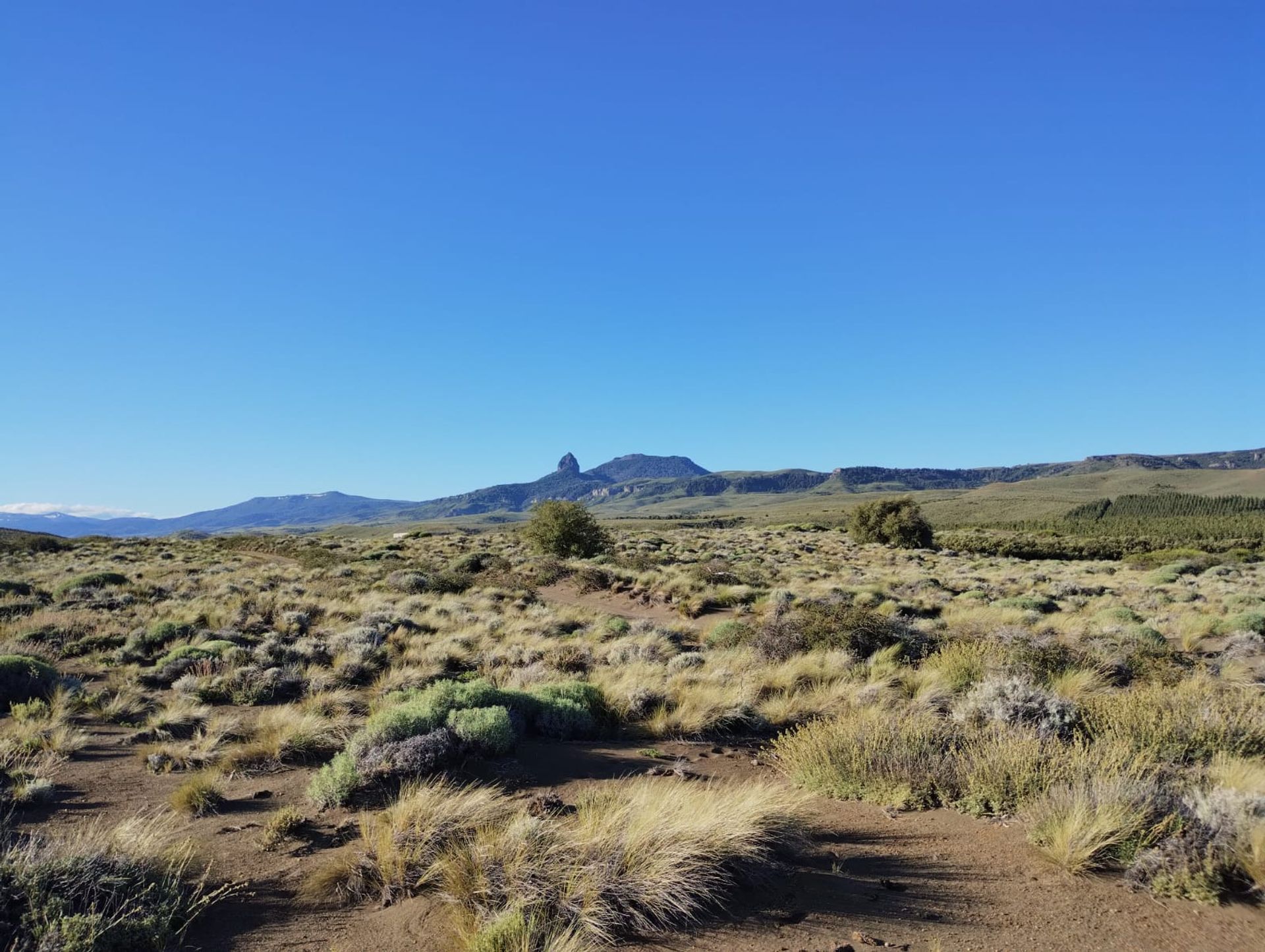 Lote de 2700m2 a 100m del Río Chimehuín - 20