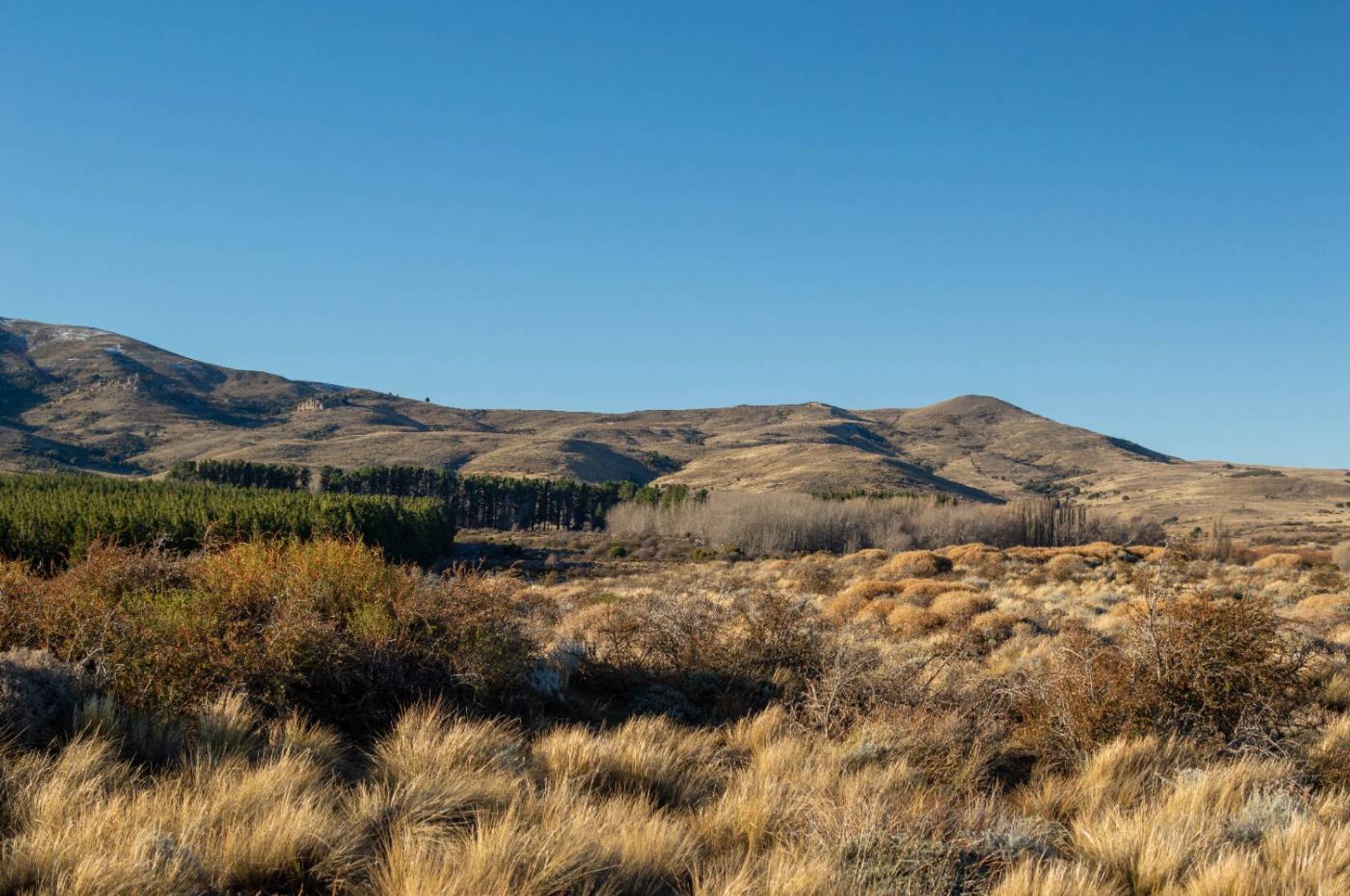 Lote de 2700m2 a 100m del Río Chimehuín - 18