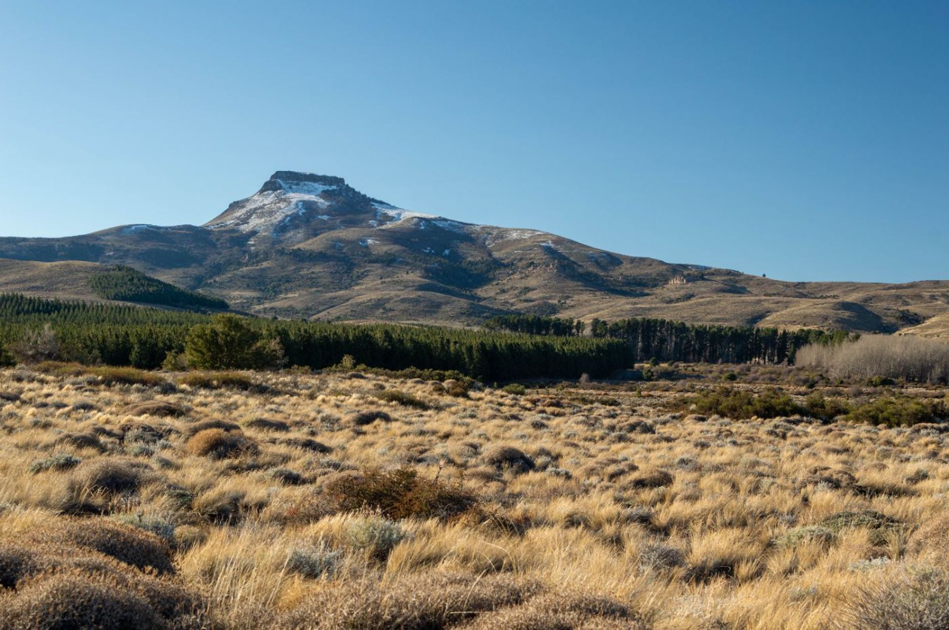 Lote de 2700m2 a 100m del Río Chimehuín - 15