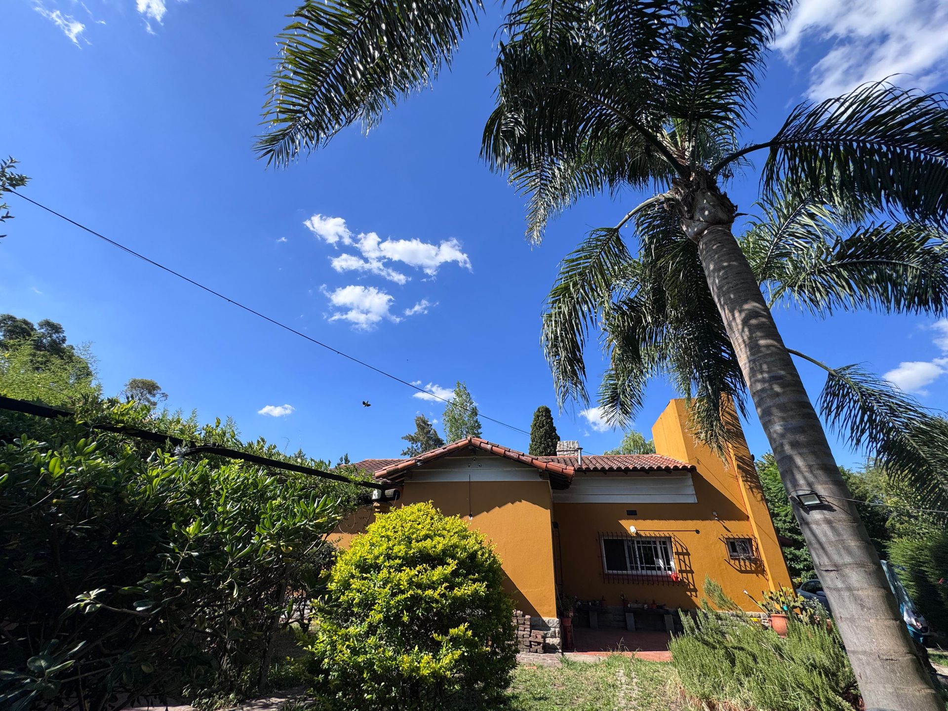 Venta de Casaquinta con Piscina en Villa Luzuriaga - 9