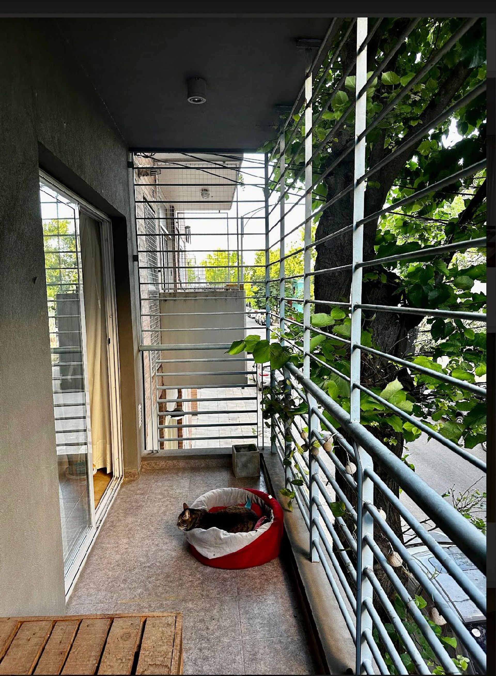 VENTA 2 AMBIENTES CON COCHERA- SAAVEDRA- APTO CRED - 18