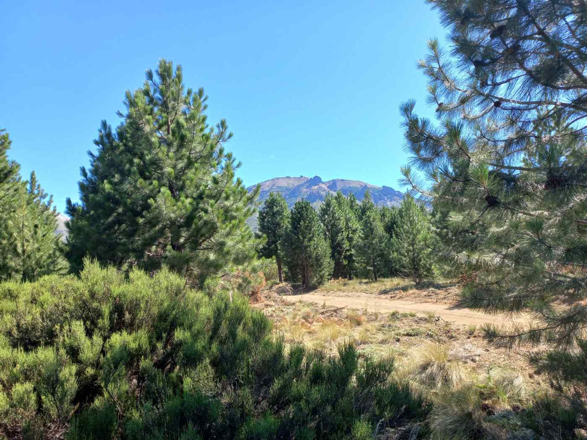 Lote a la venta en Dos Valles Bariloche - 4