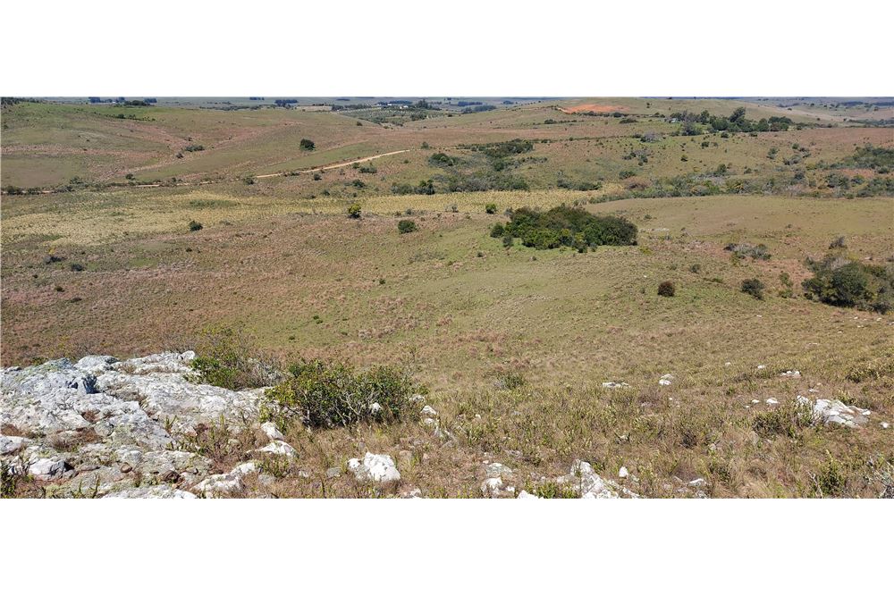 Campo en Venta en Rocha, Rocha. Rocha
